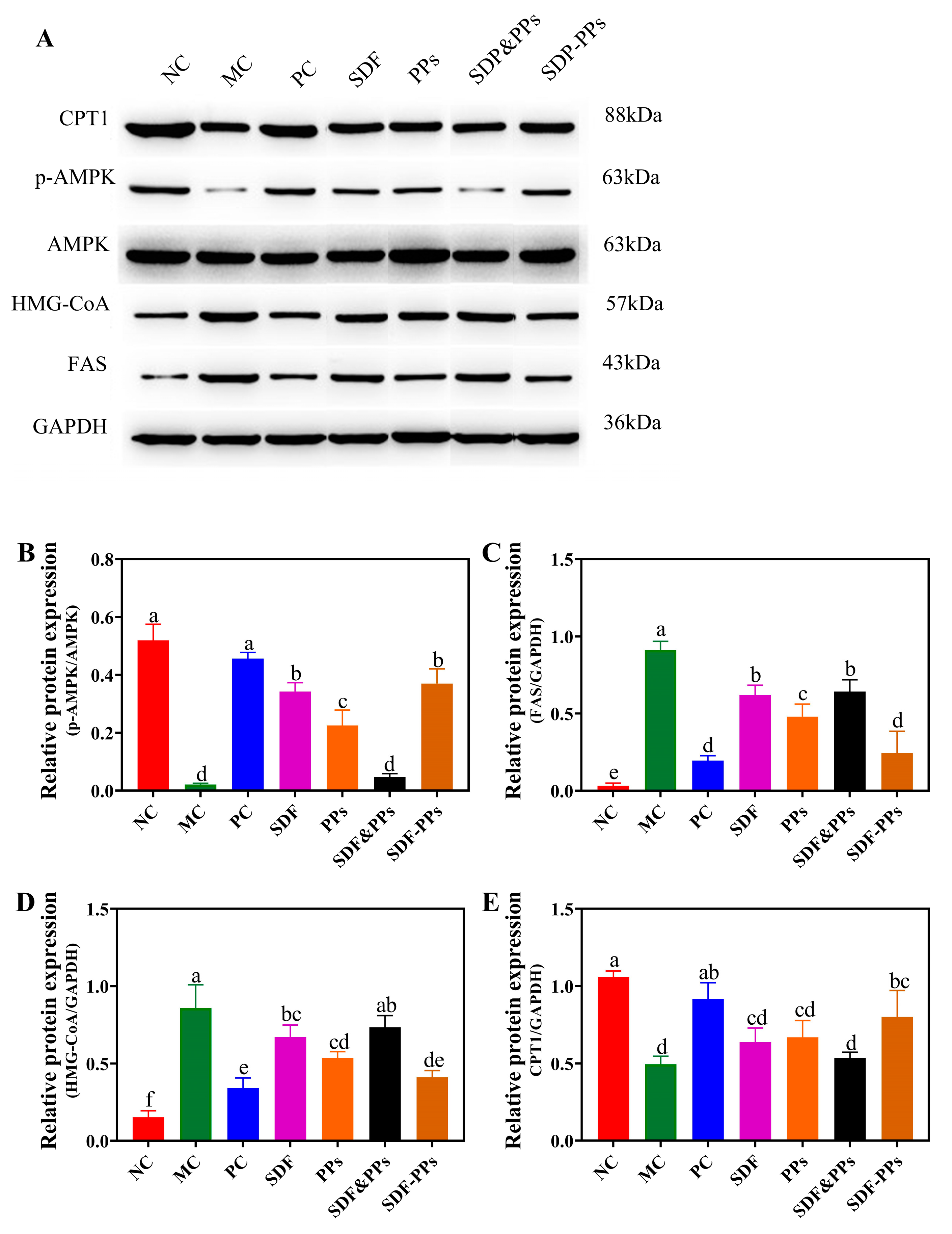 Antioxidants 13 00466 g003a
