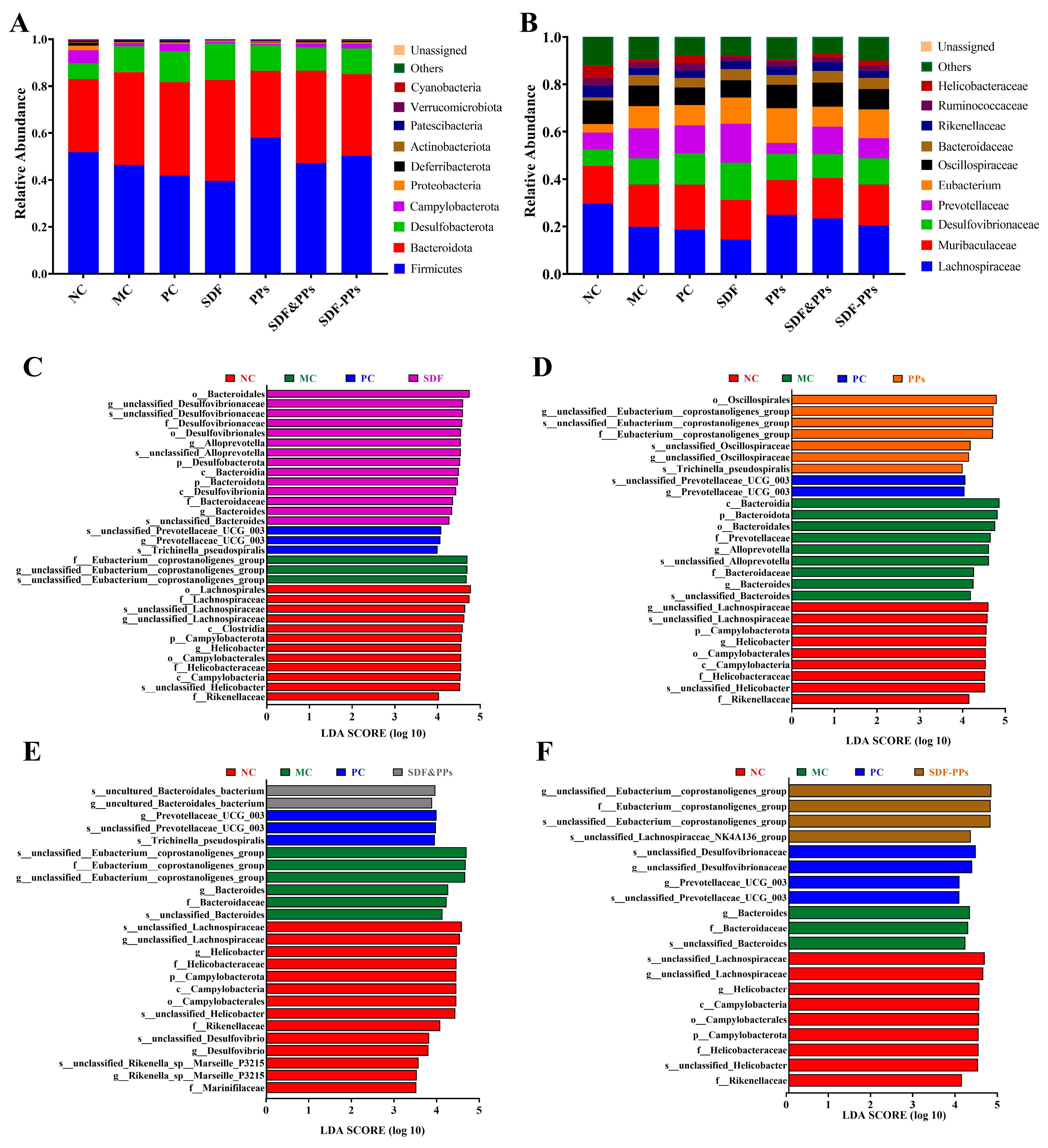 Antioxidants 13 00466 g005