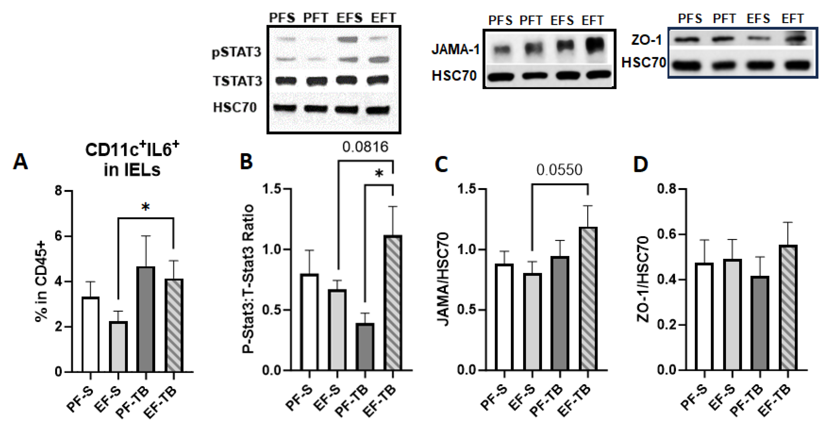 Antioxidants 13 00472 g004