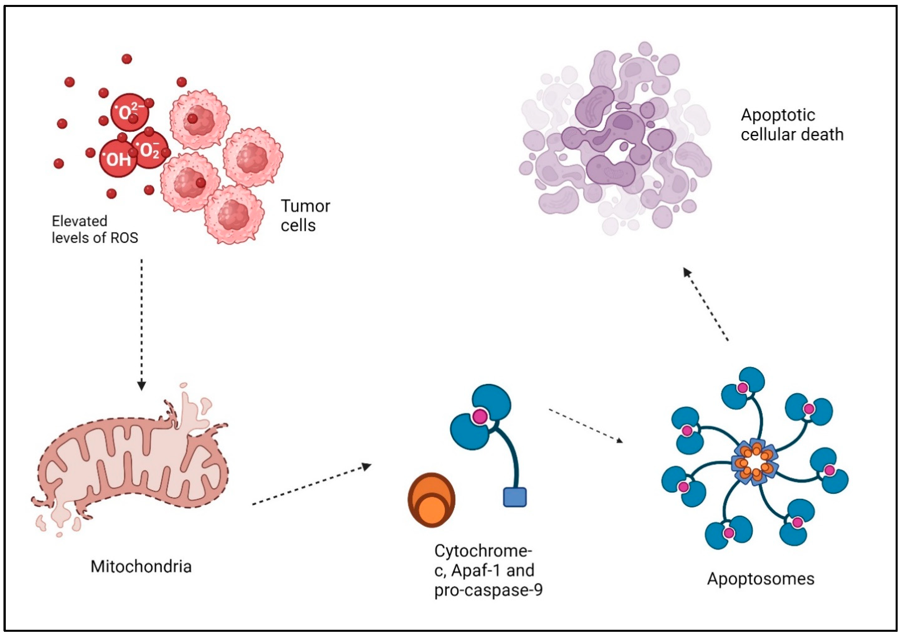 Antioxidants 13 00475 g002