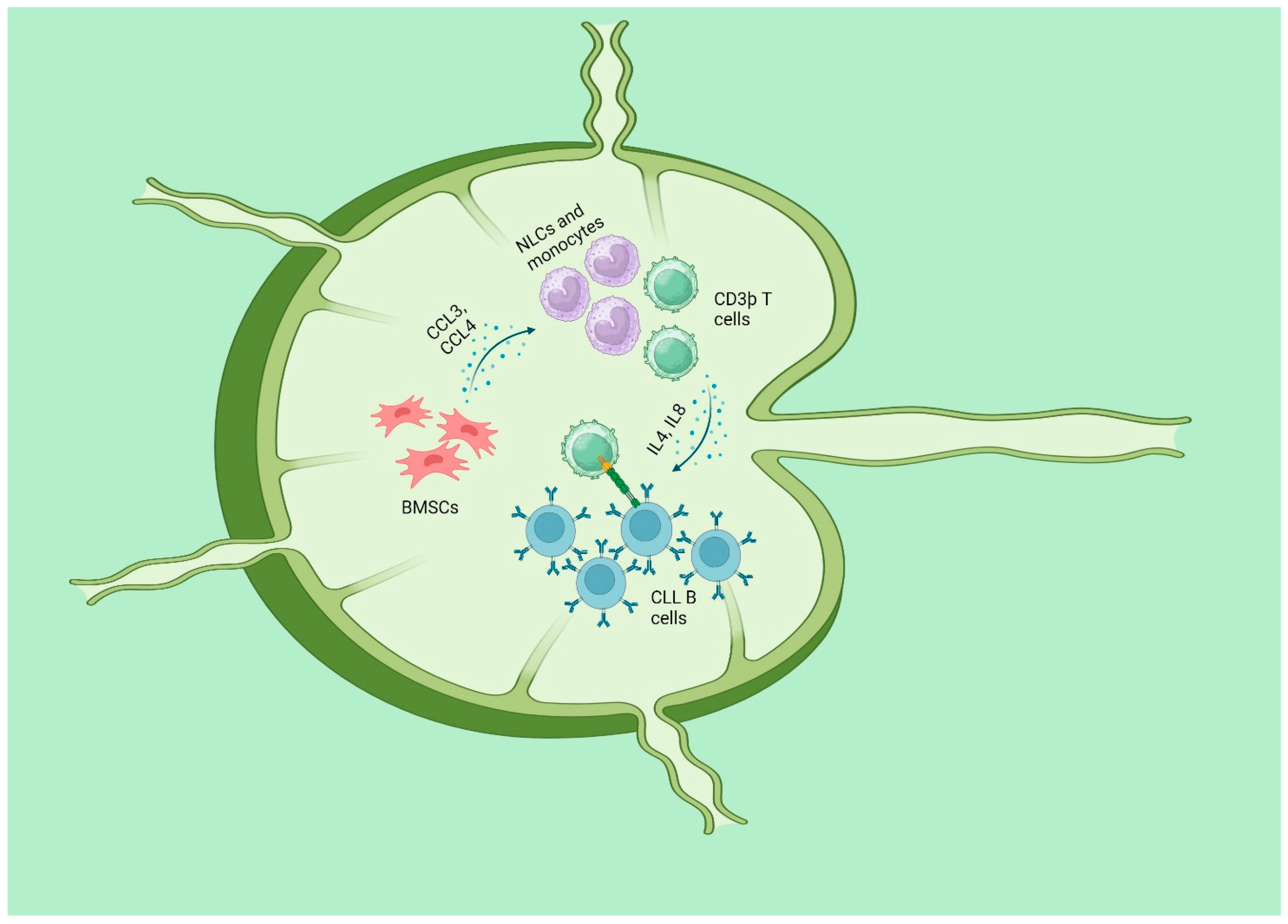 Antioxidants 13 00475 g003