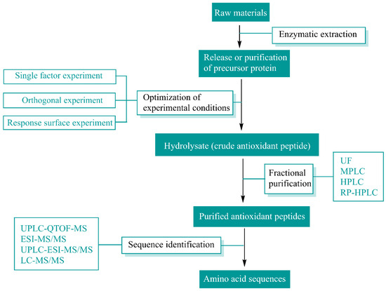 Advances in Research on the Activity Evaluation, Mechanism and