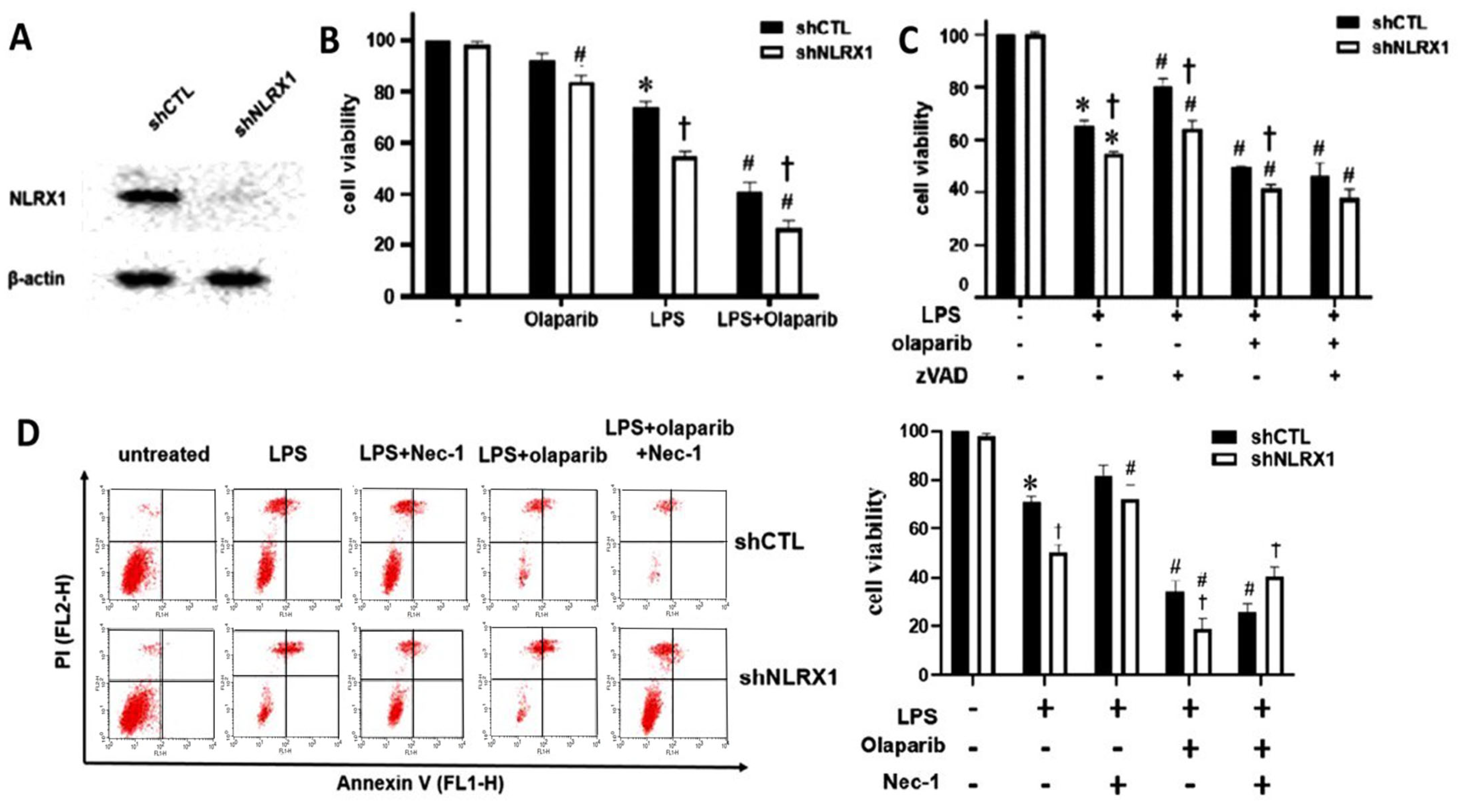 Antioxidants 13 00481 g001
