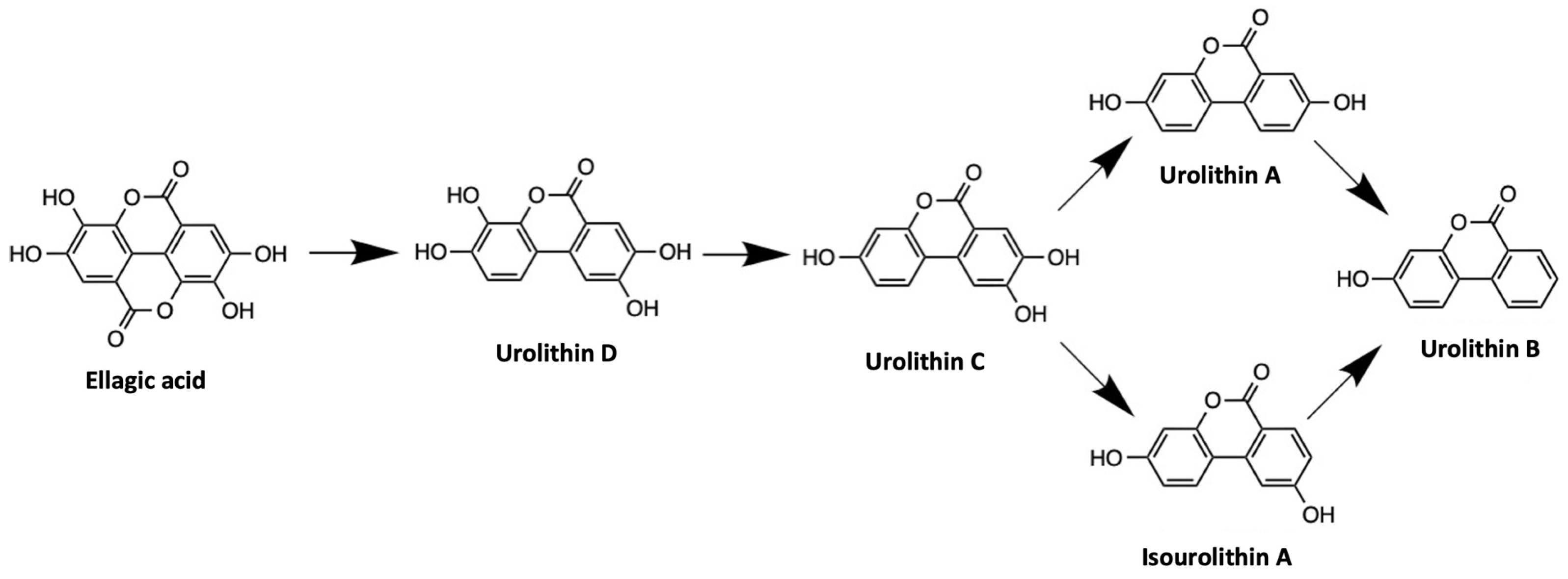 Antioxidants 13 00485 g001