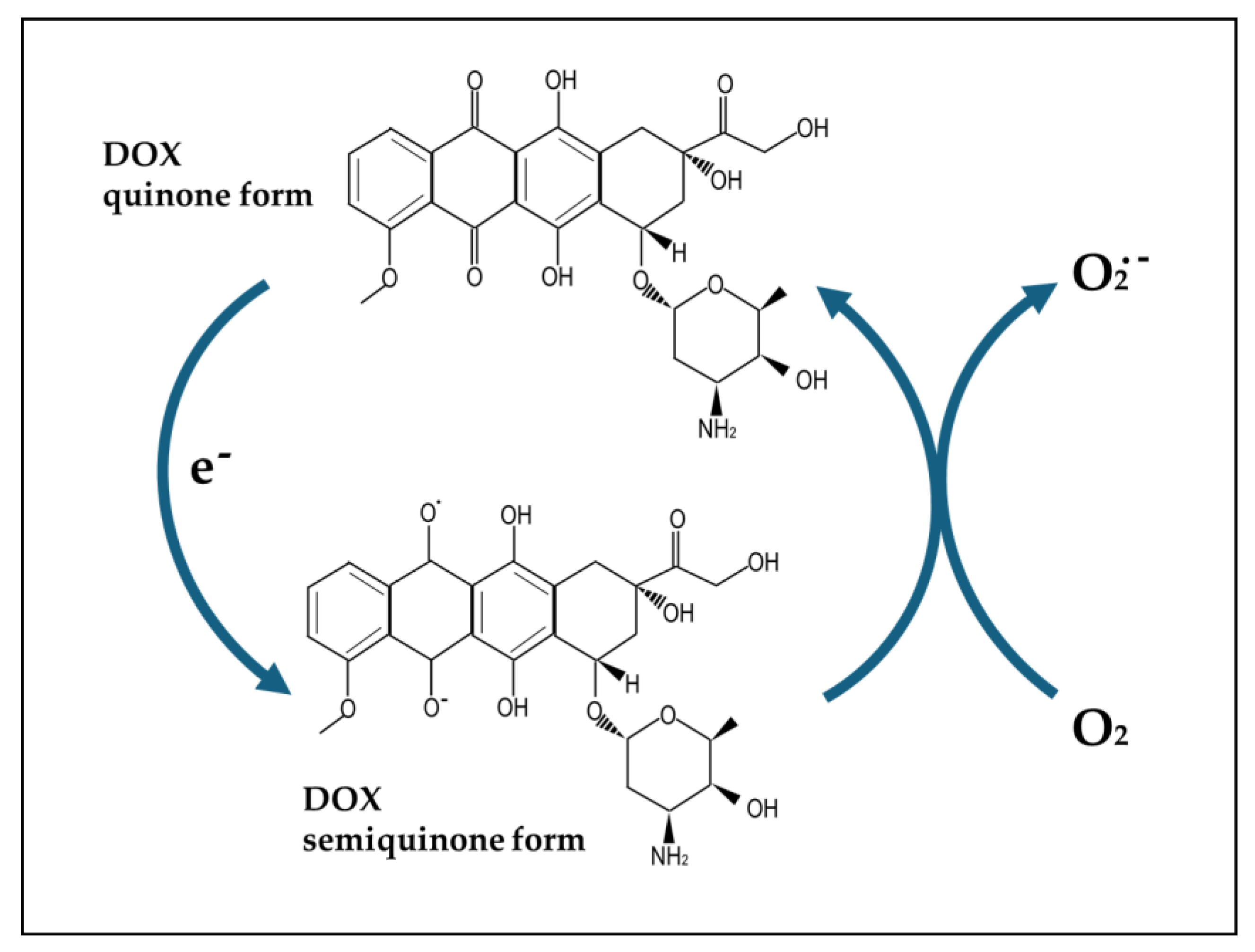 Antioxidants 13 00486 g001