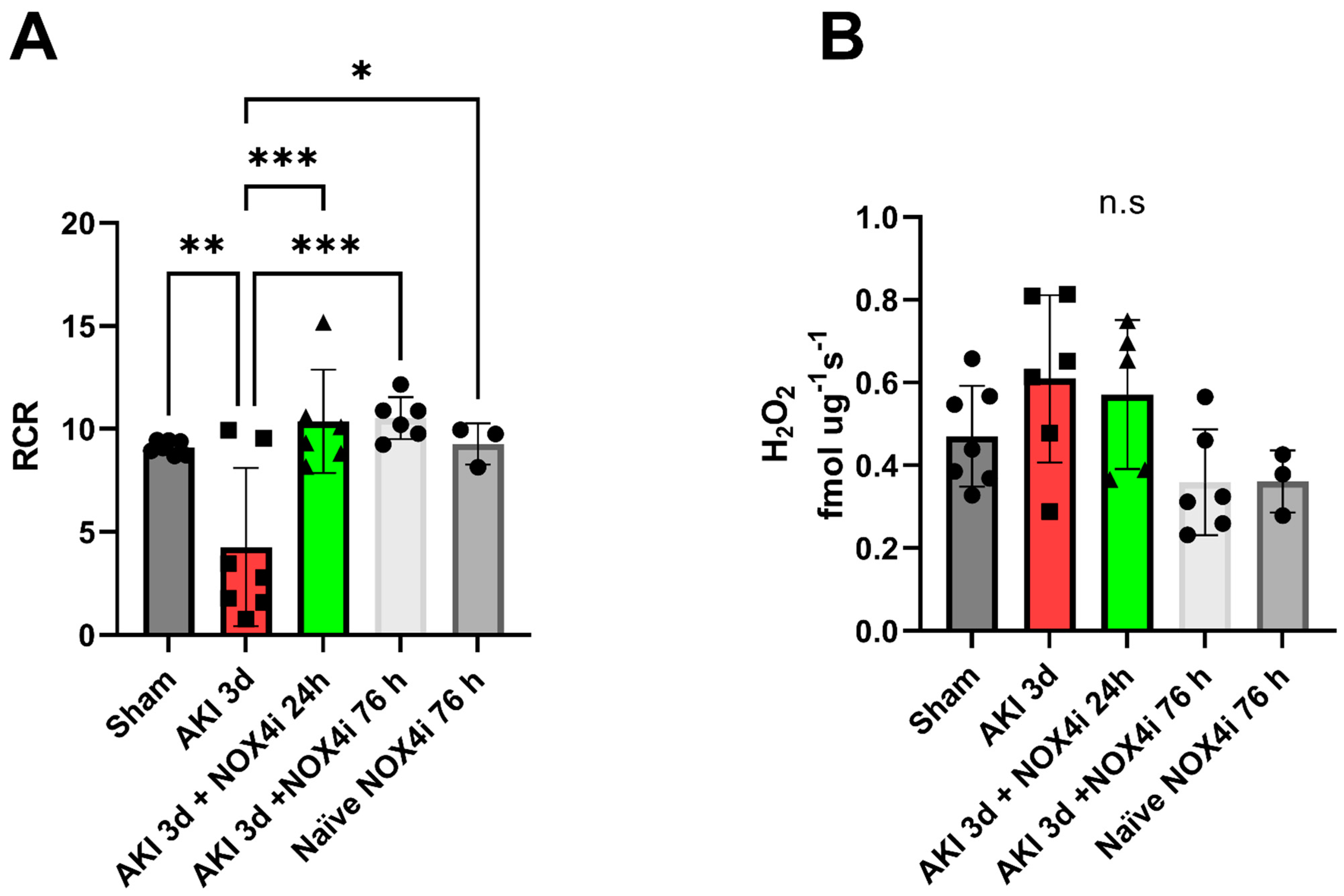 Antioxidants 13 00489 g004