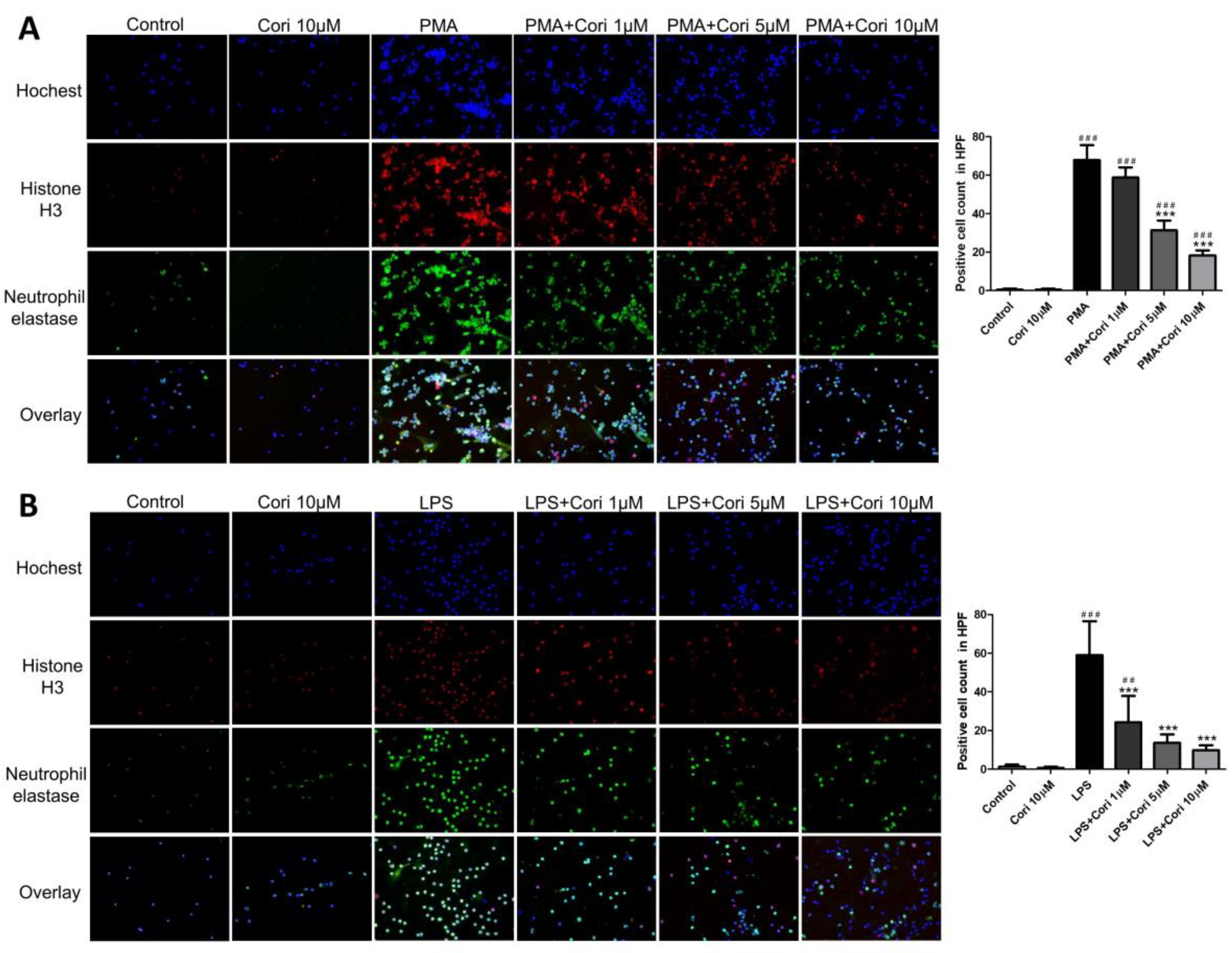 Antioxidants 13 00491 g001