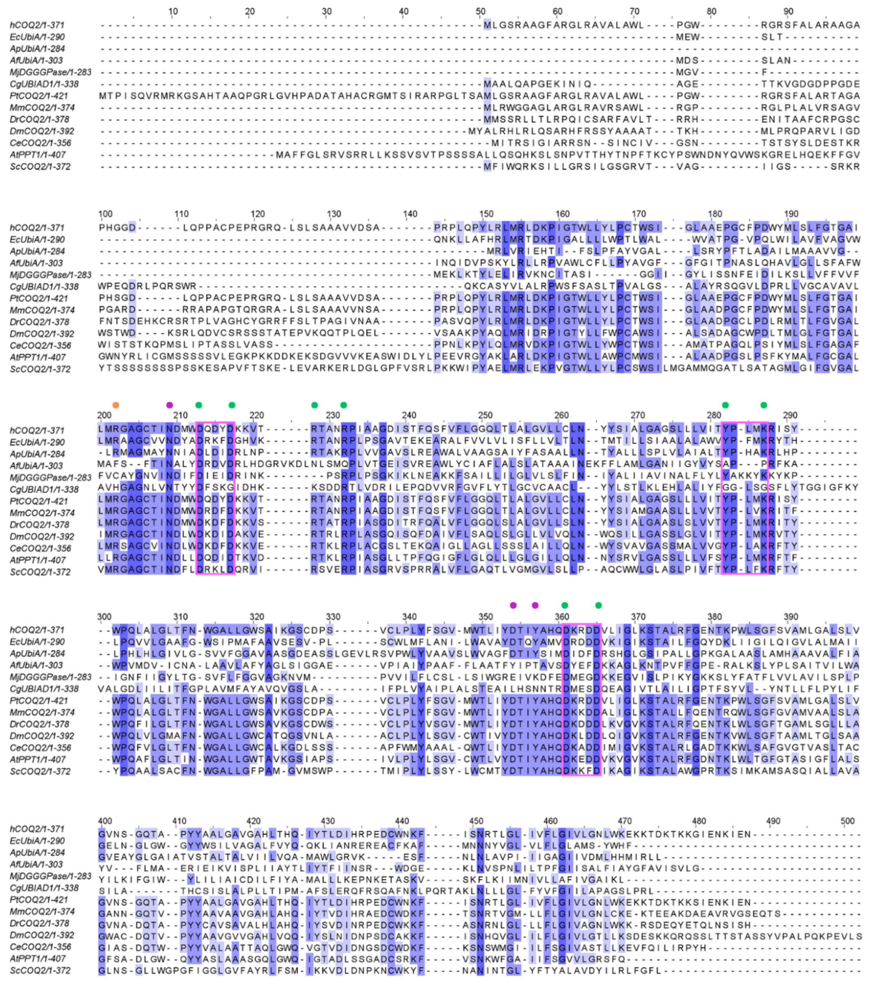 Antioxidants 13 00496 g002