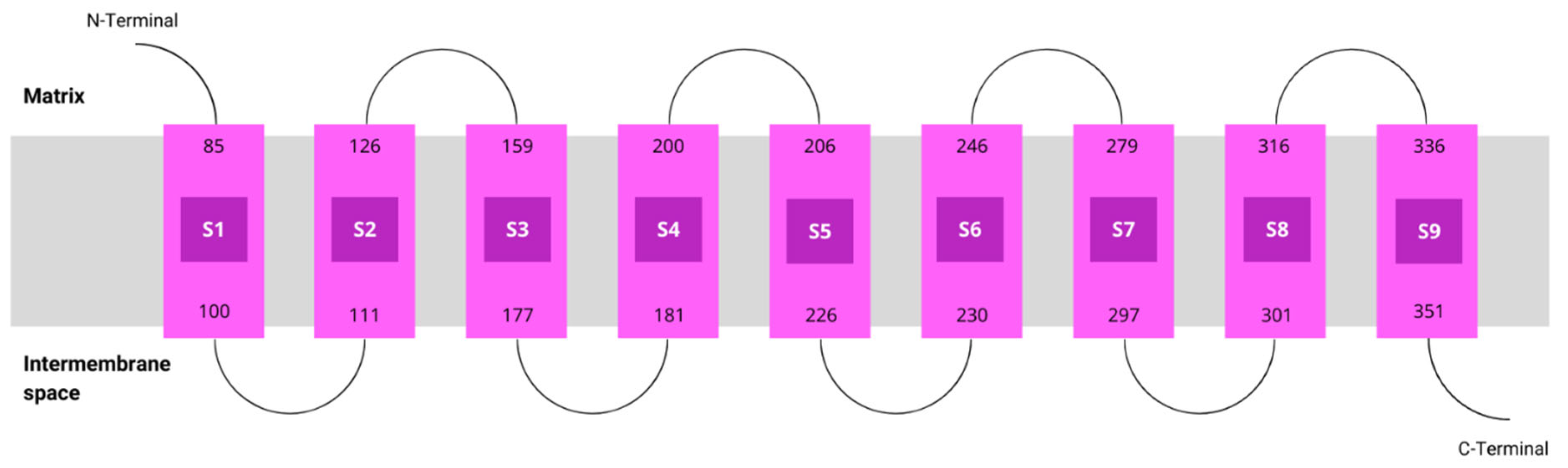 Antioxidants 13 00496 g003
