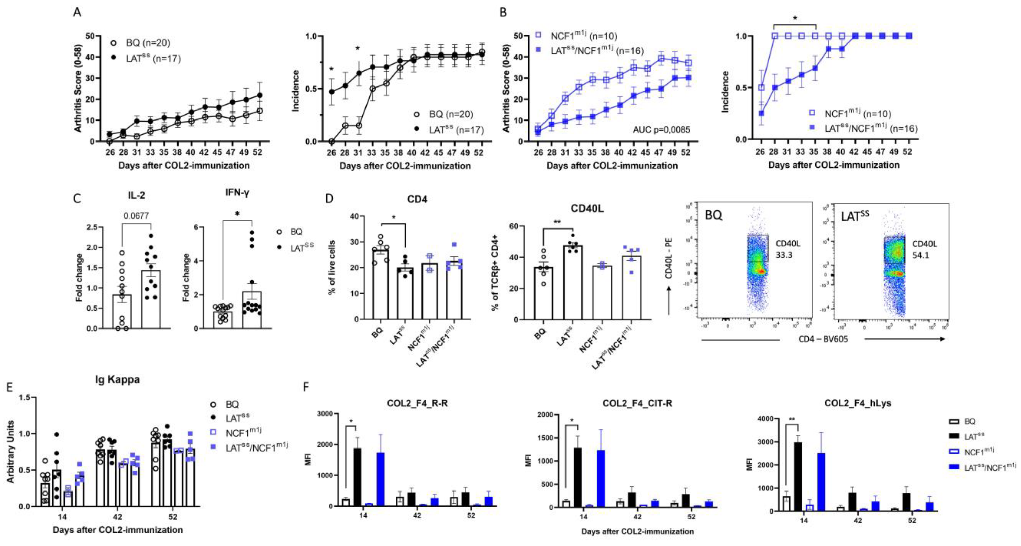 Antioxidants 13 00499 g004