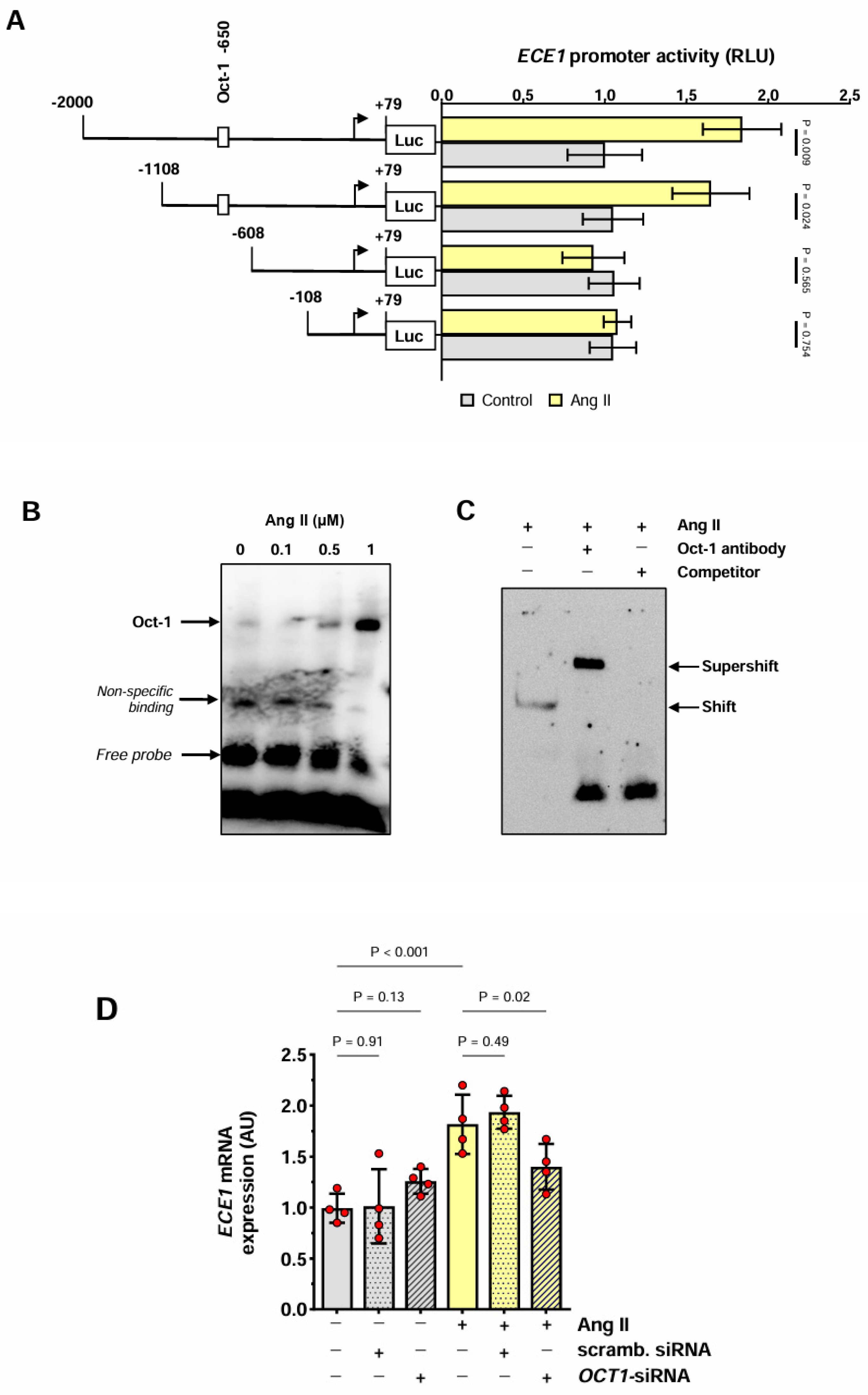 Antioxidants 13 00500 g003
