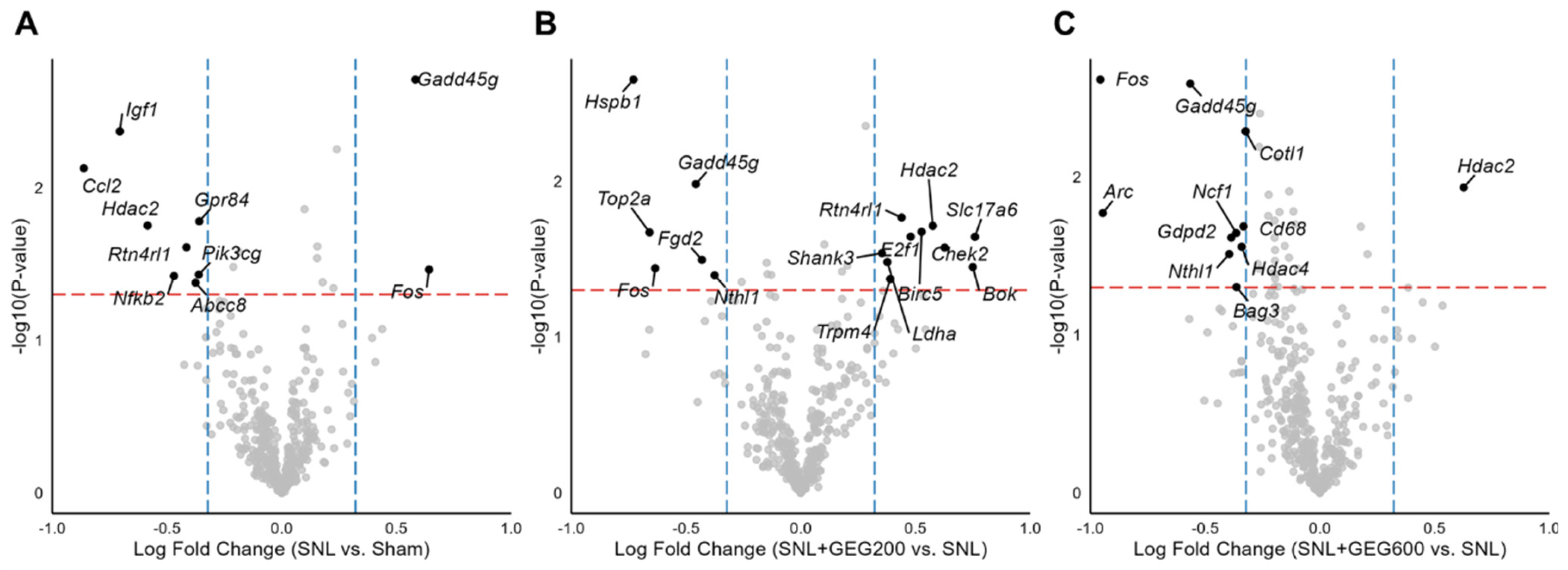 Antioxidants 13 00502 g003