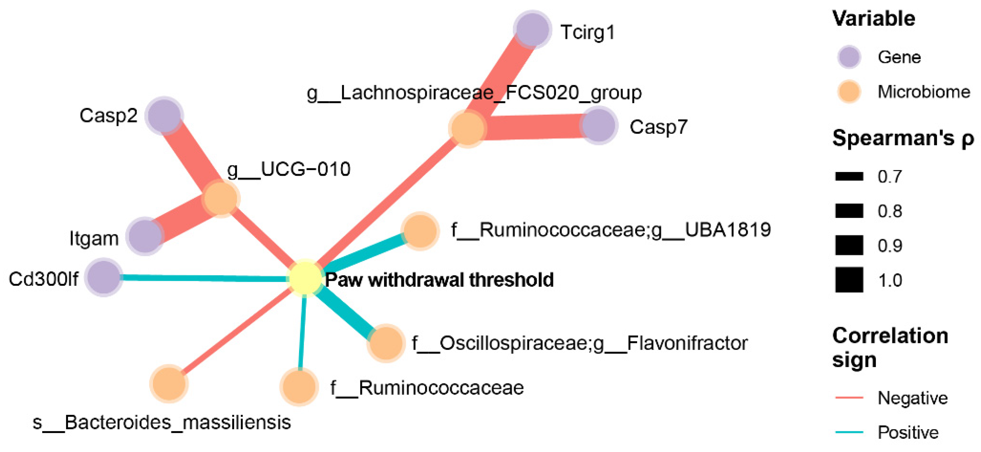 Antioxidants 13 00502 g006
