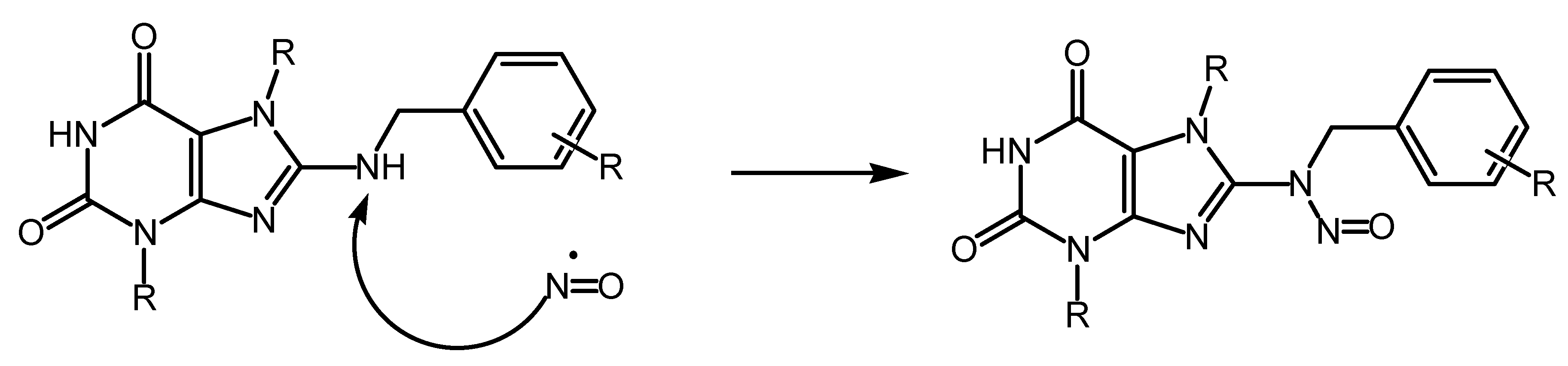 Antioxidants 13 00504 g003 Antioxidants 13 00504 g003