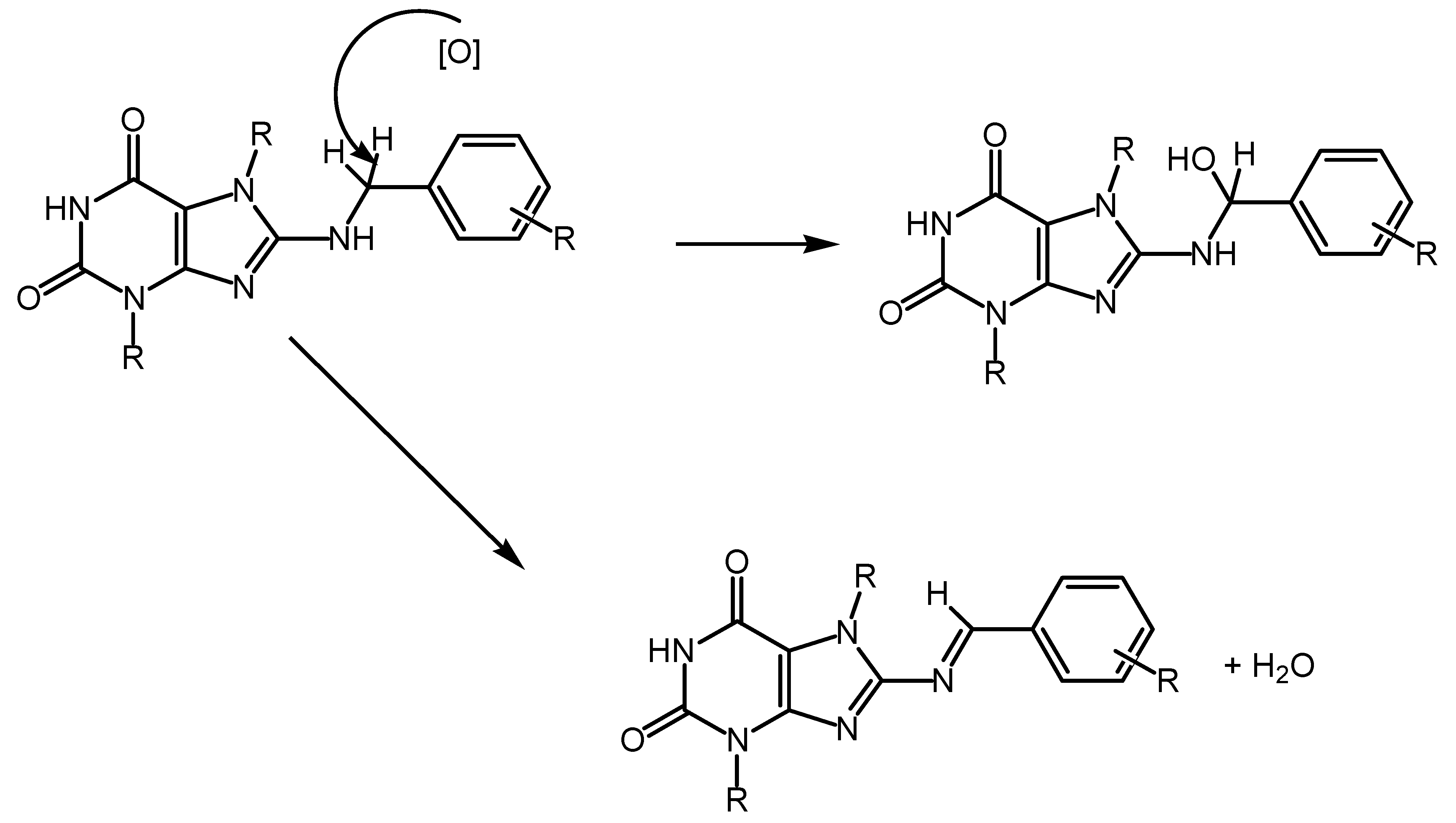 Antioxidants 13 00504 g004 Antioxidants 13 00504 g004