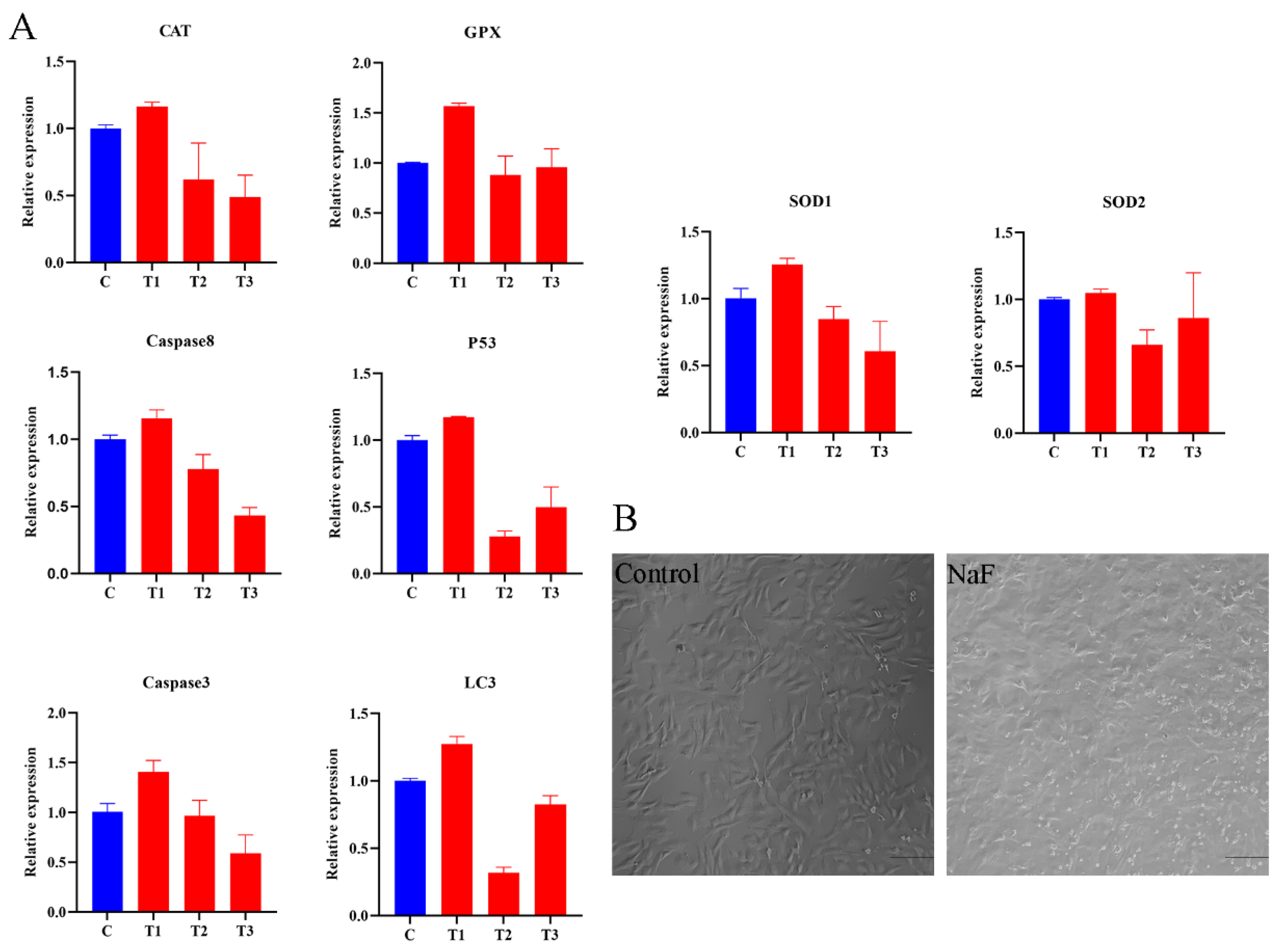 Antioxidants 13 00506 g002