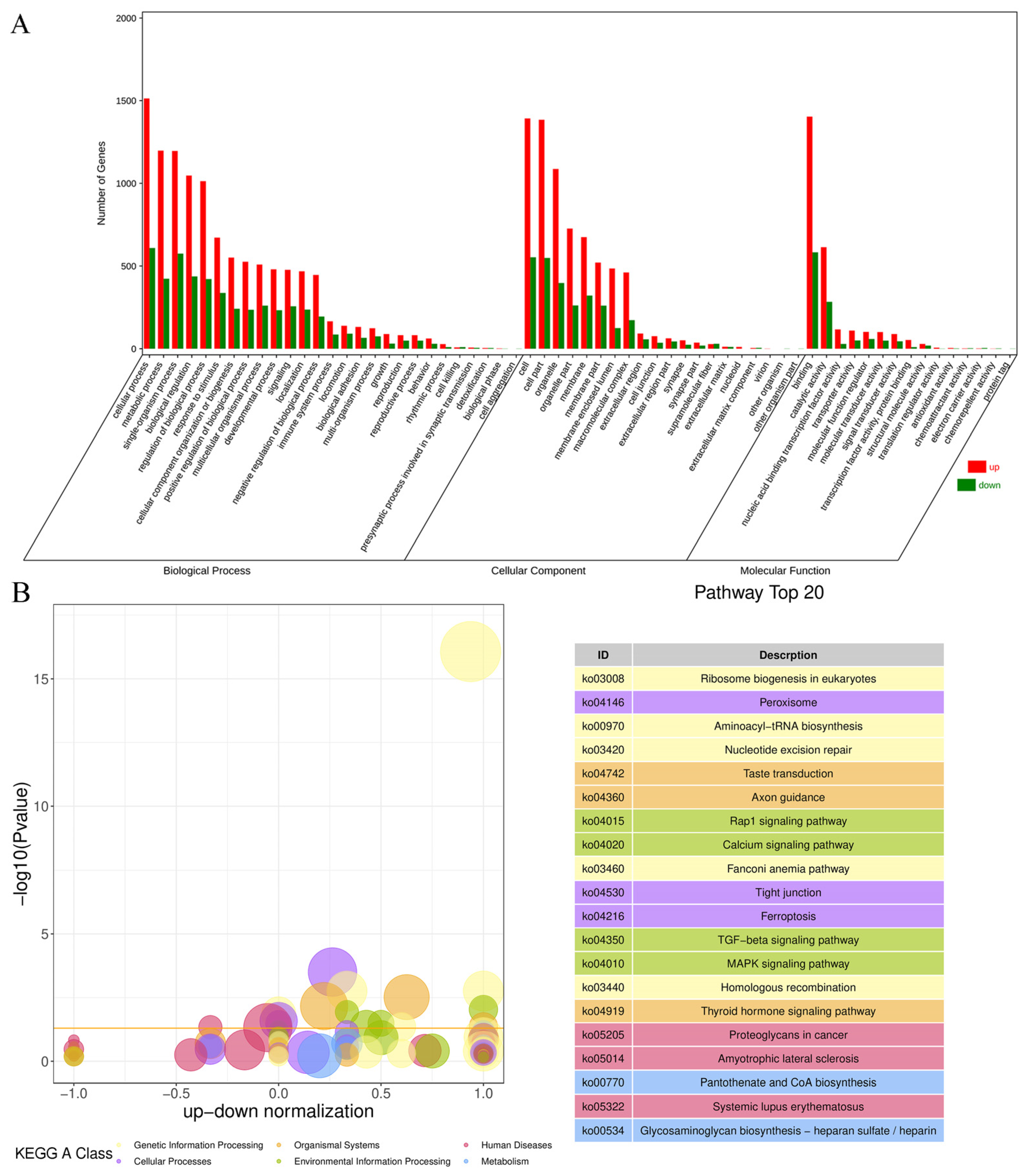 Antioxidants 13 00506 g004