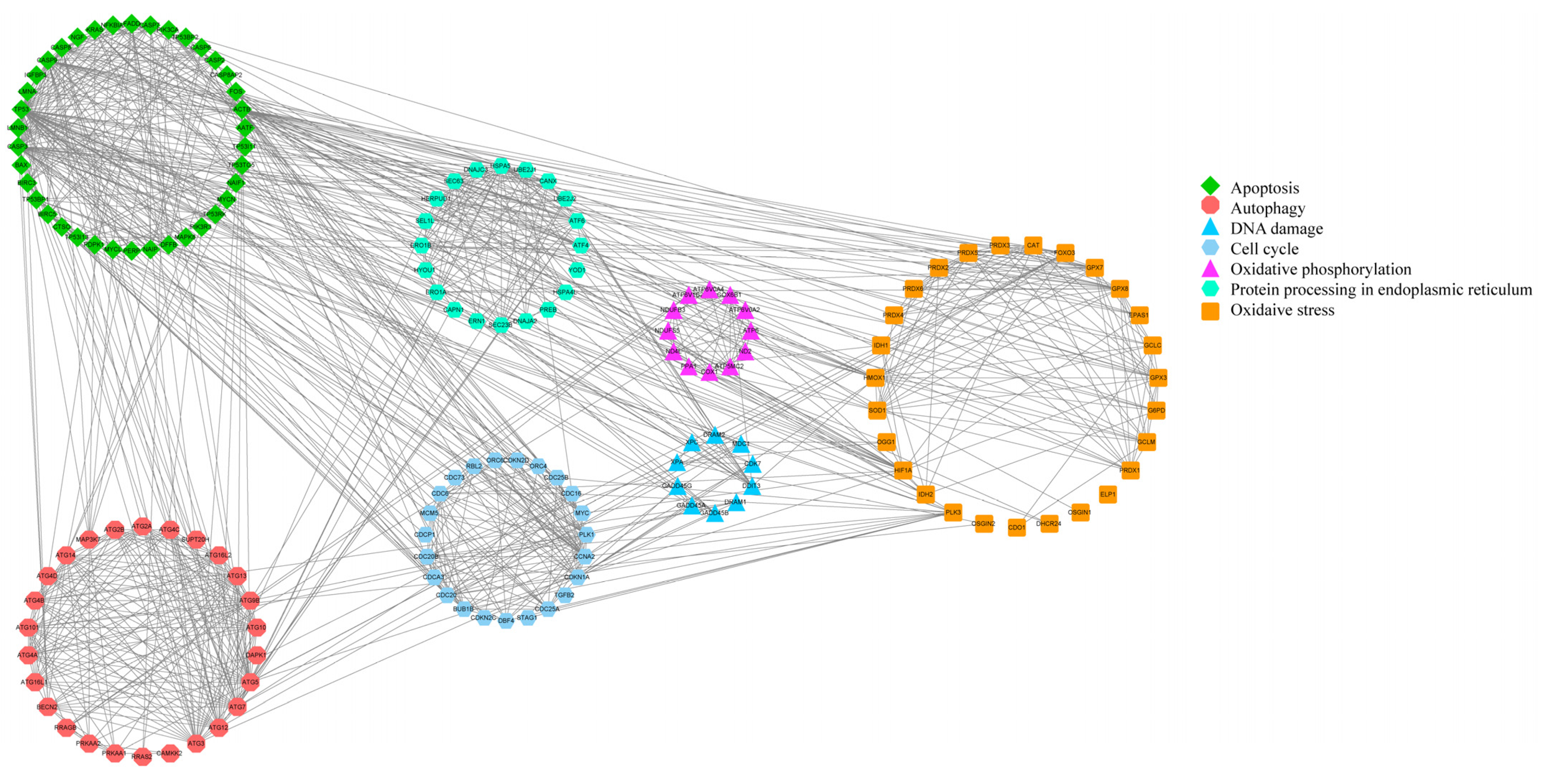Antioxidants 13 00506 g007