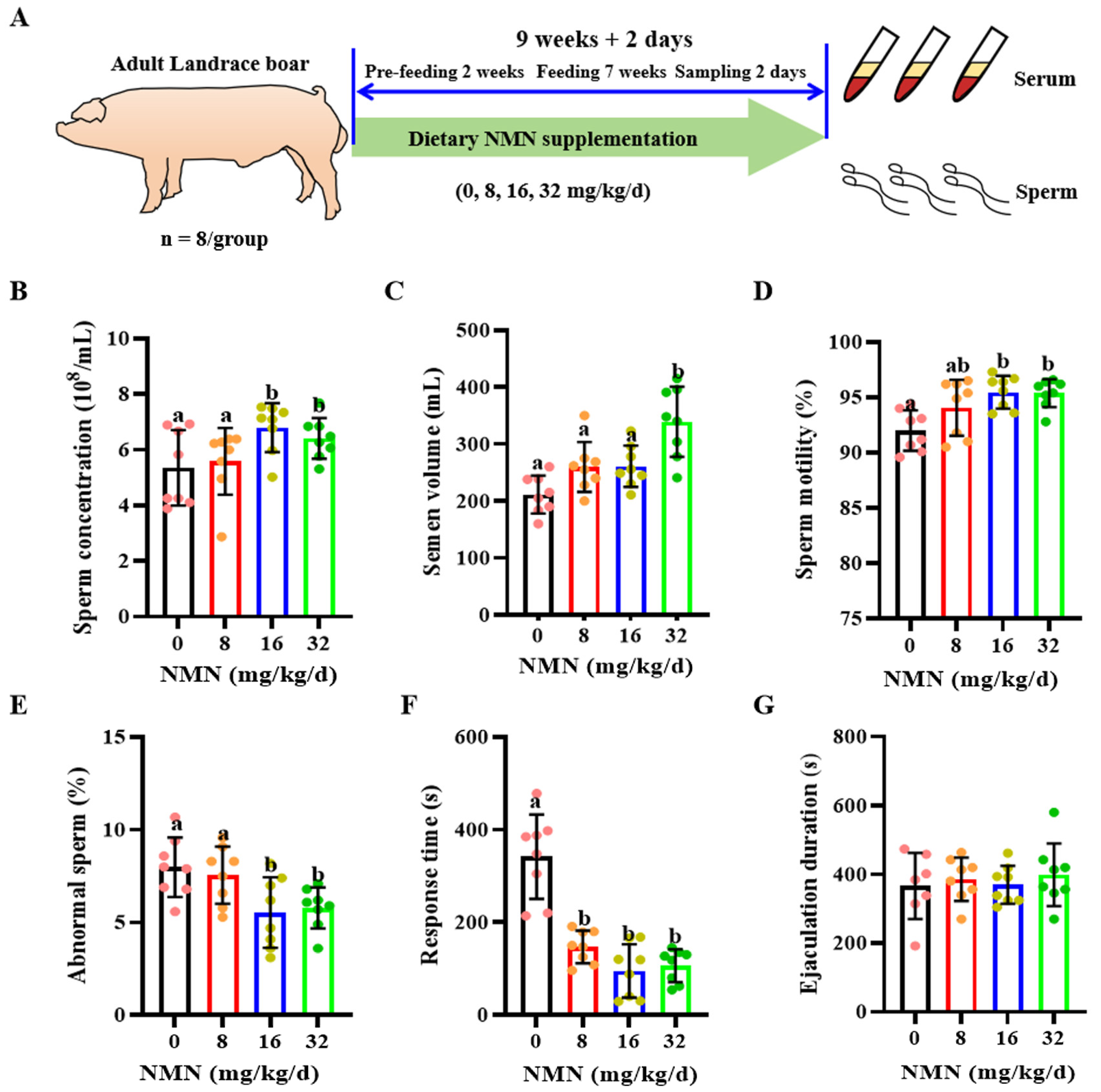 Antioxidants 13 00507 g001 Antioxidants 13 00507 g001