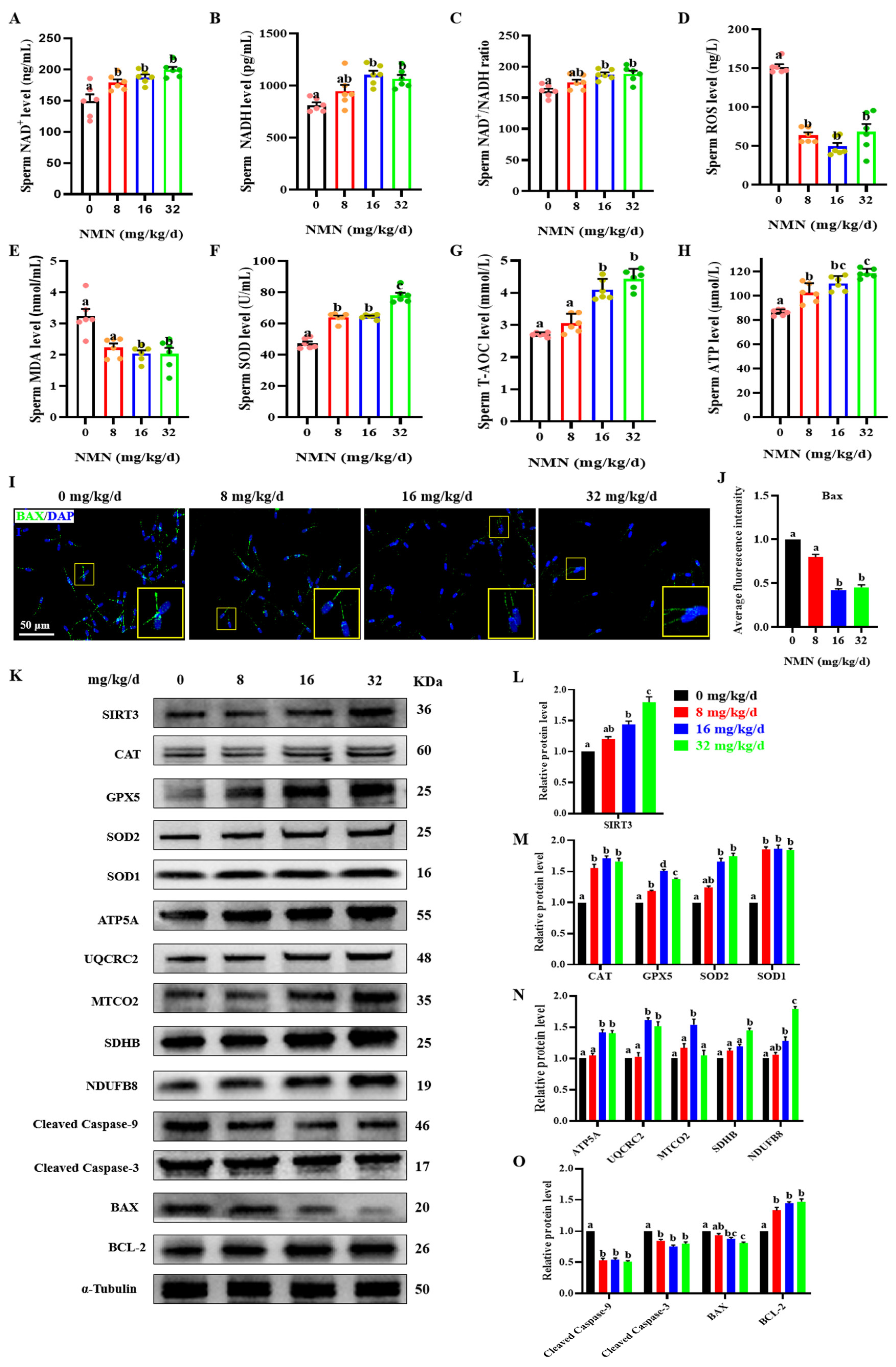 Antioxidants 13 00507 g003 Antioxidants 13 00507 g003