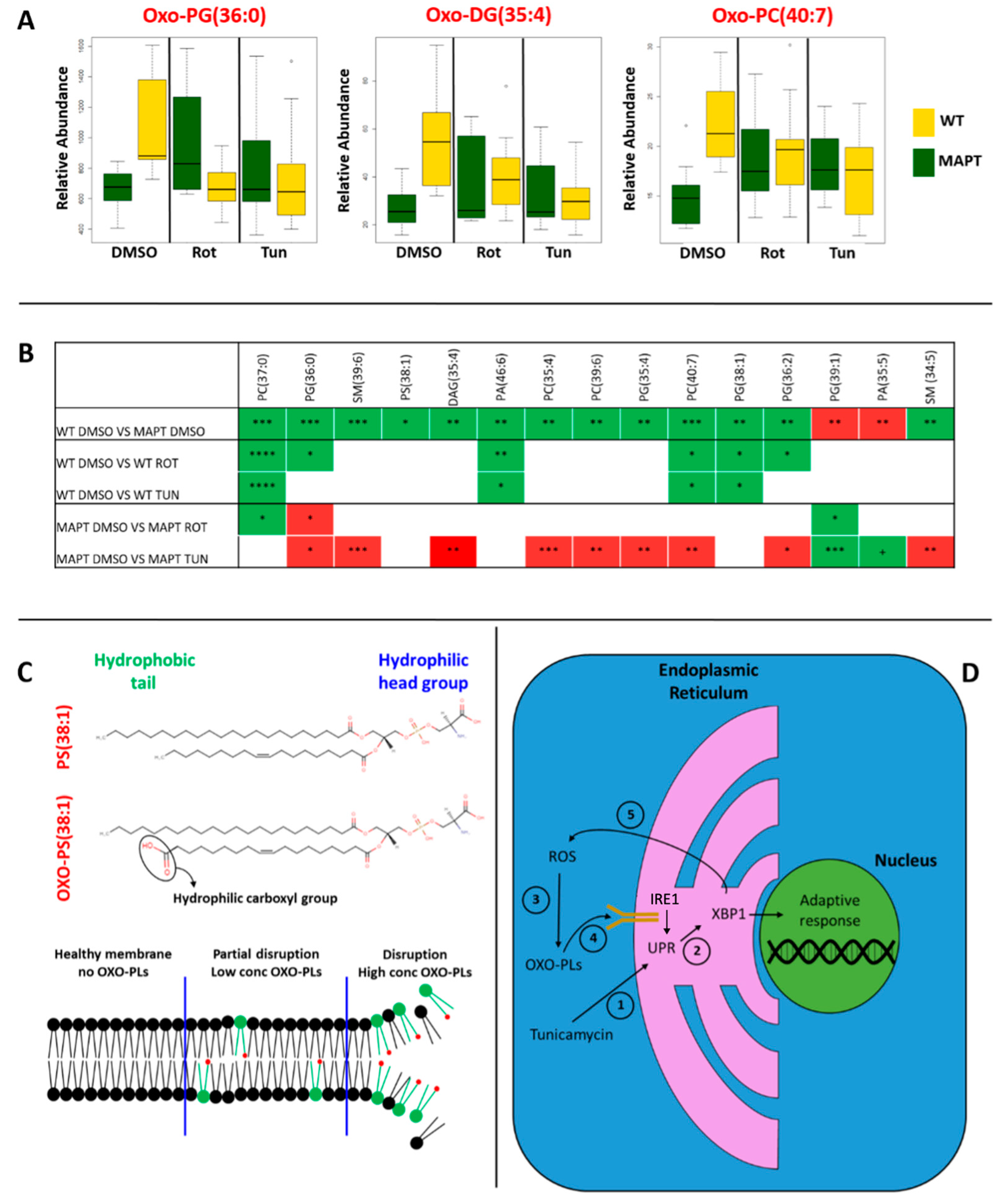 Antioxidants 13 00508 g002