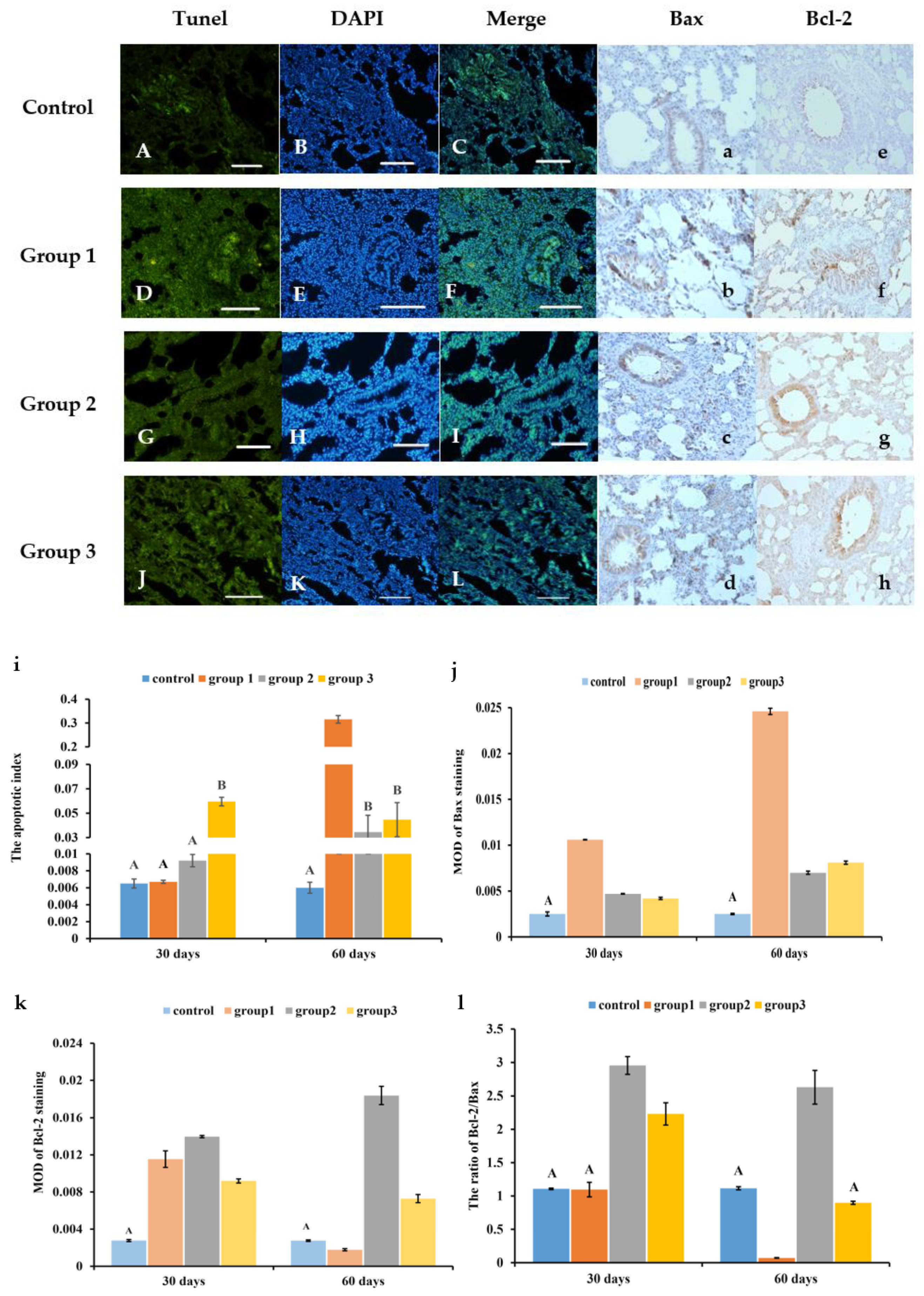 Antioxidants 13 00511 g002 Antioxidants 13 00511 g002