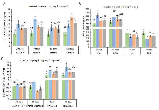 AK Differences in Airway Remodeling and Emphysematous Lesions