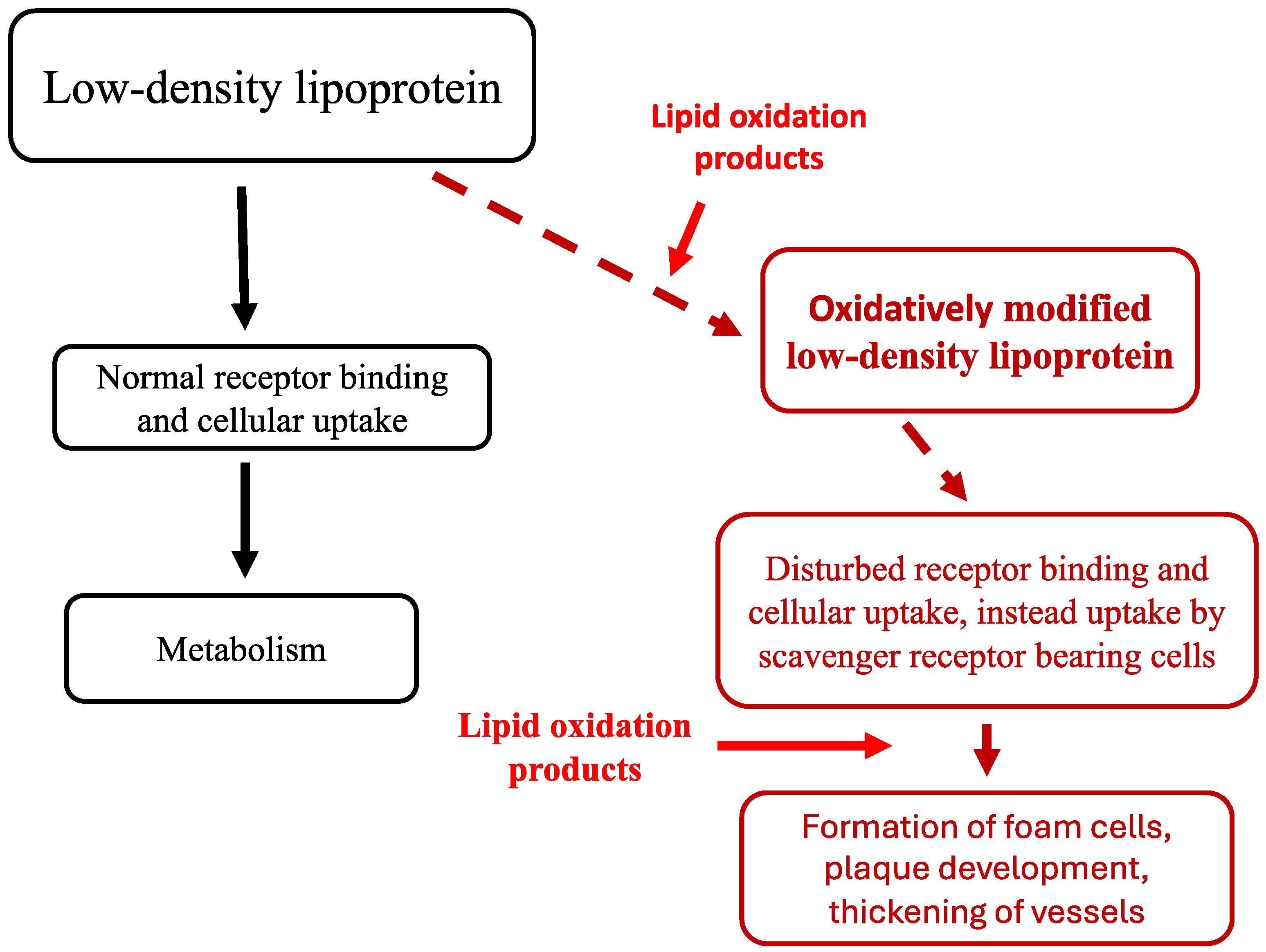 Antioxidants 13 00512 g001