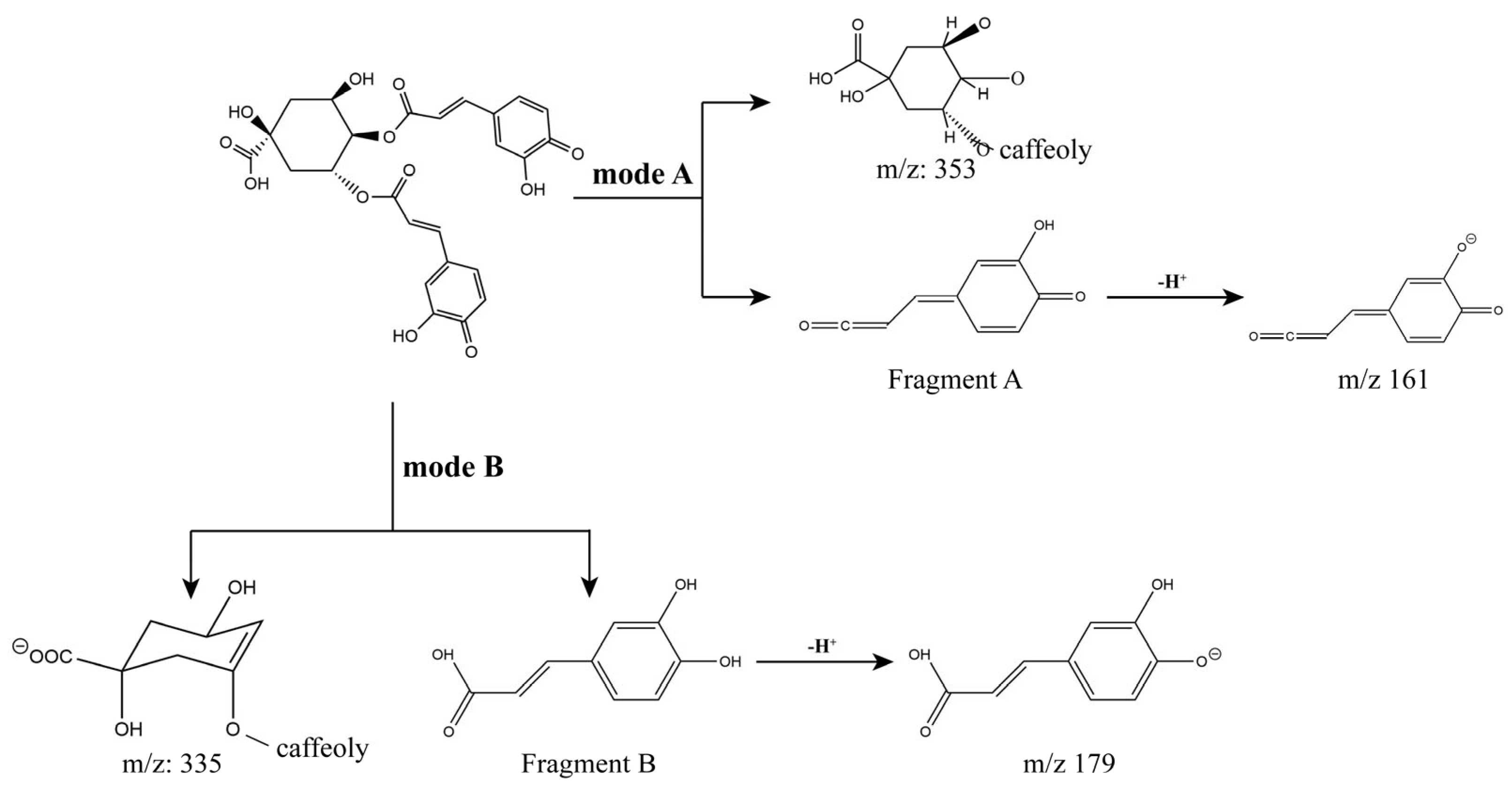 Antioxidants 13 00520 g004