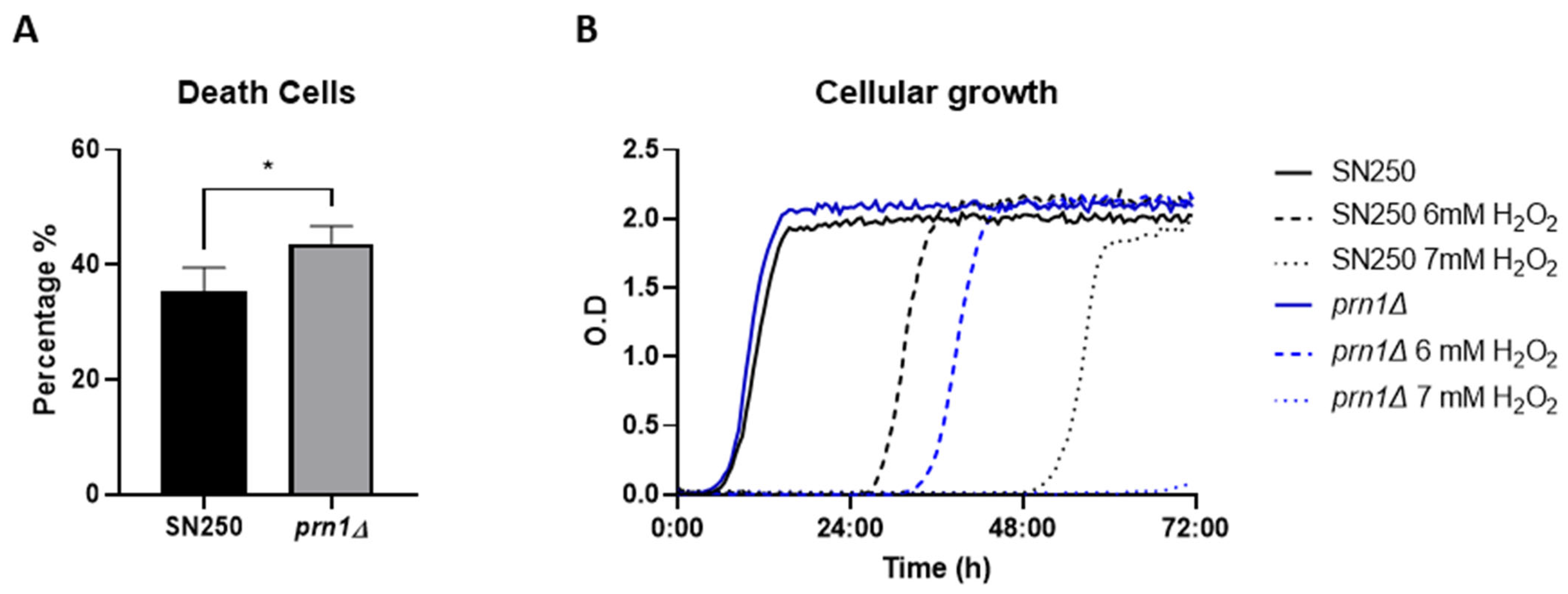 Antioxidants 13 00527 g001 Antioxidants 13 00527 g001