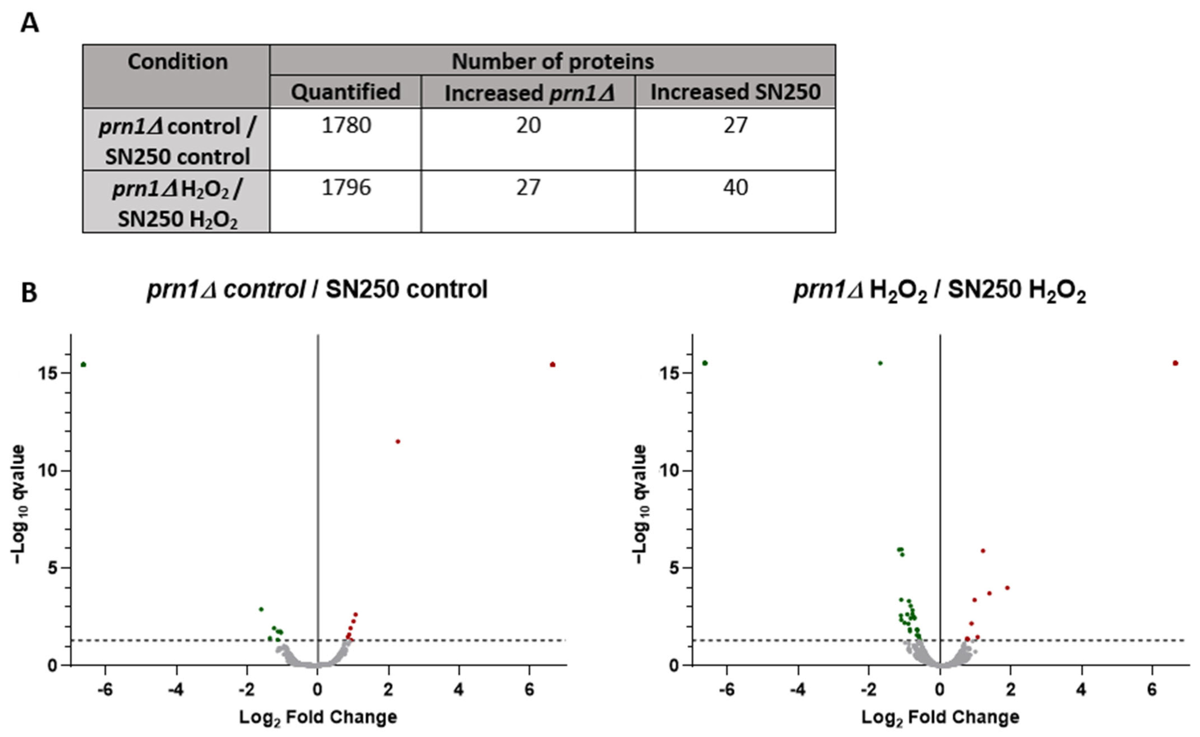 Antioxidants 13 00527 g005 Antioxidants 13 00527 g005