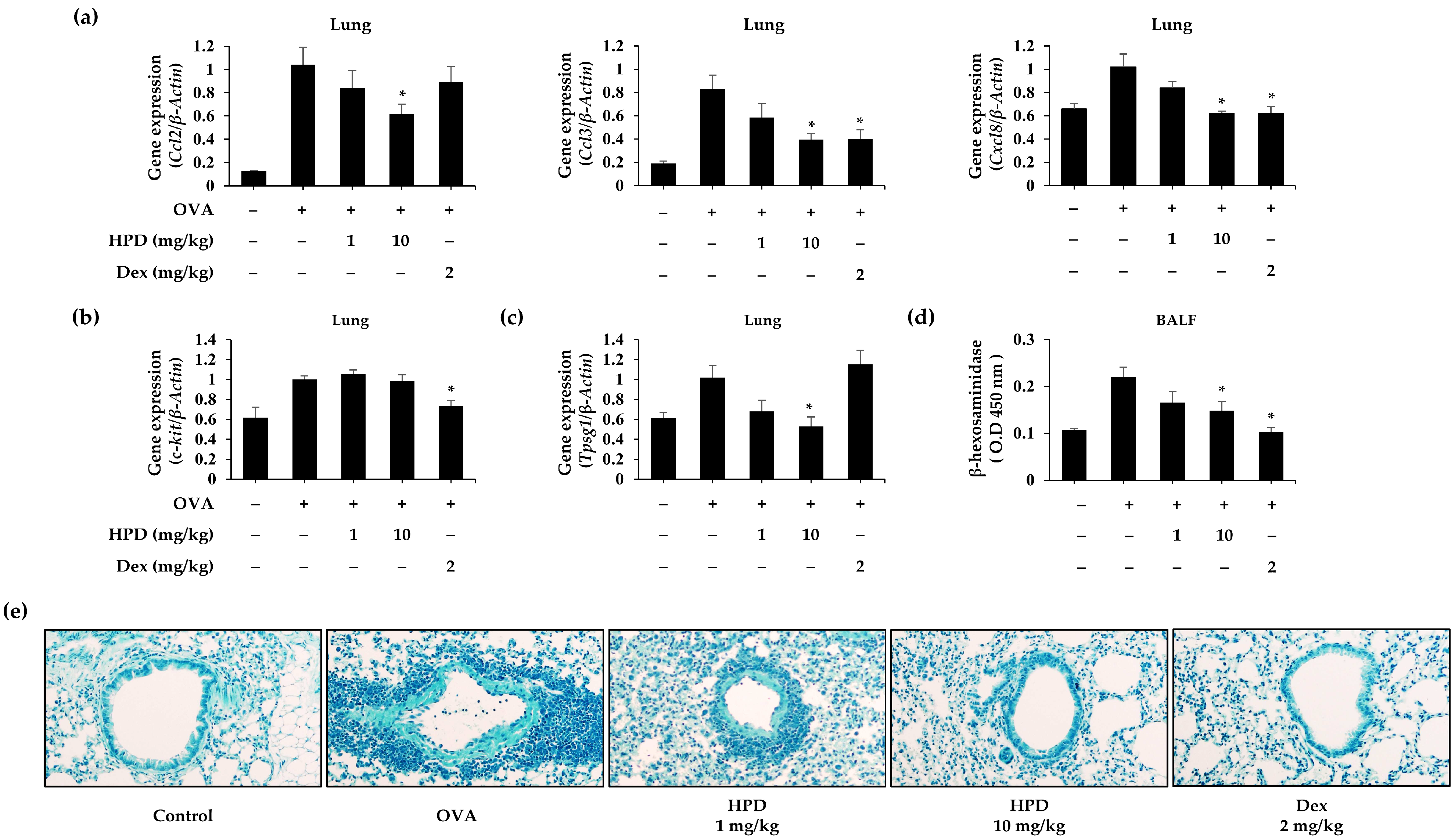 Antioxidants 13 00528 g003