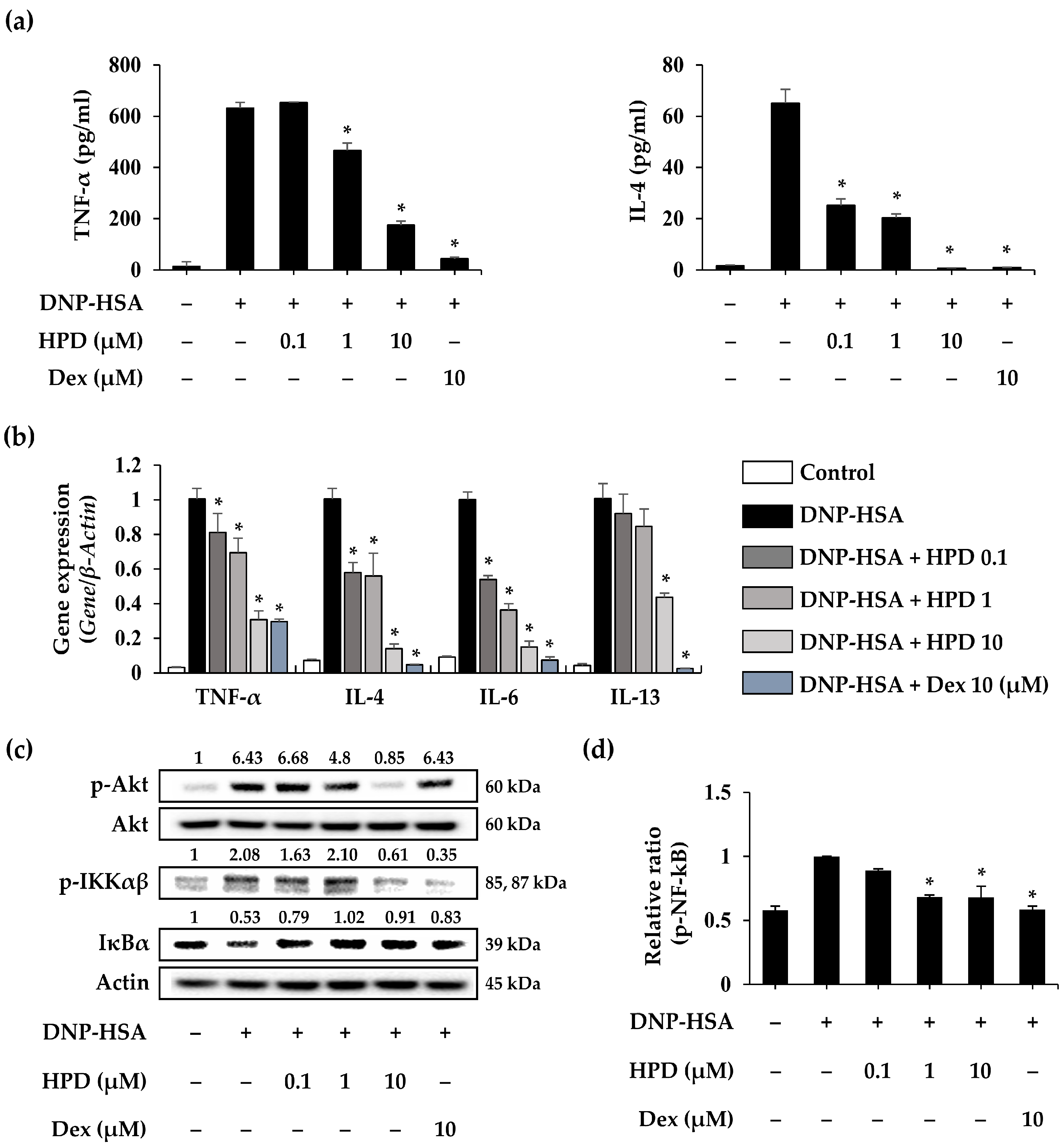 Antioxidants 13 00528 g005