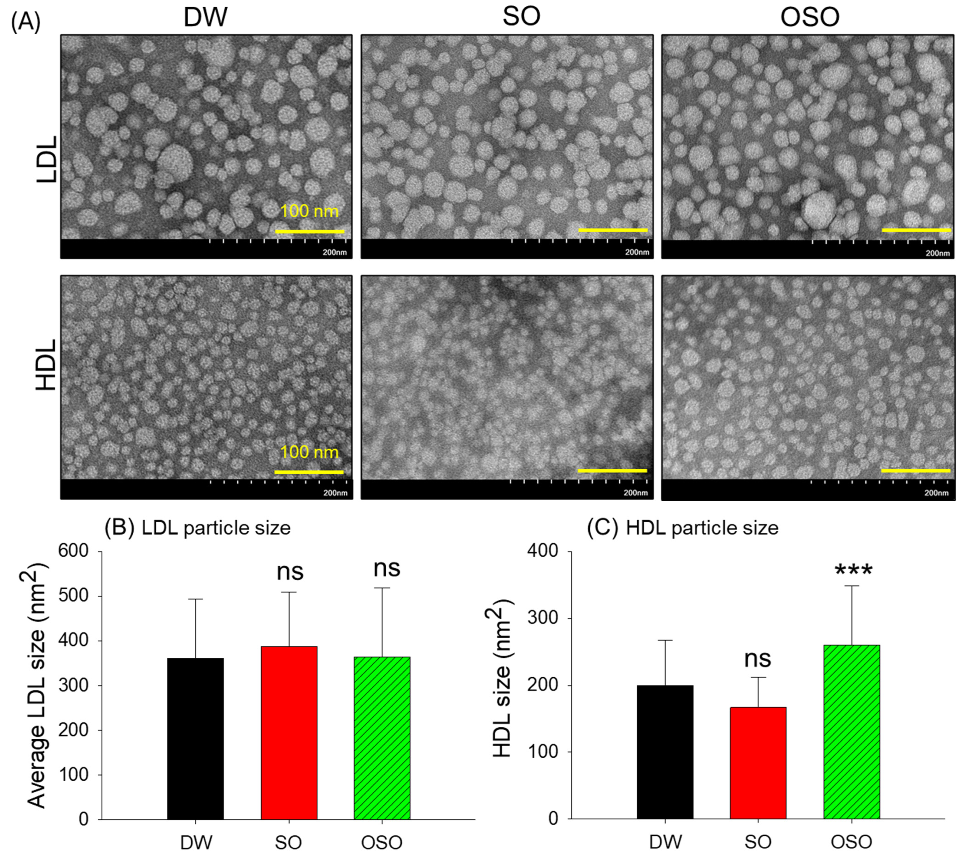 Antioxidants 13 00529 g003