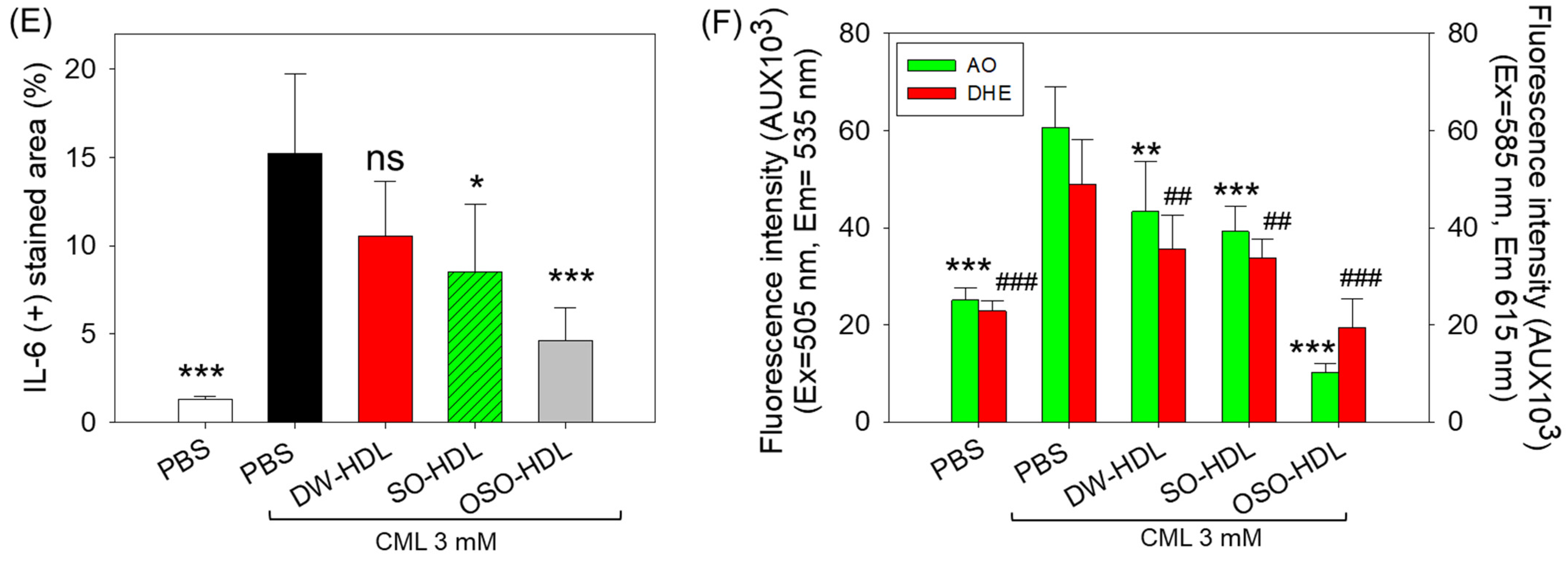 Antioxidants 13 00529 g008b