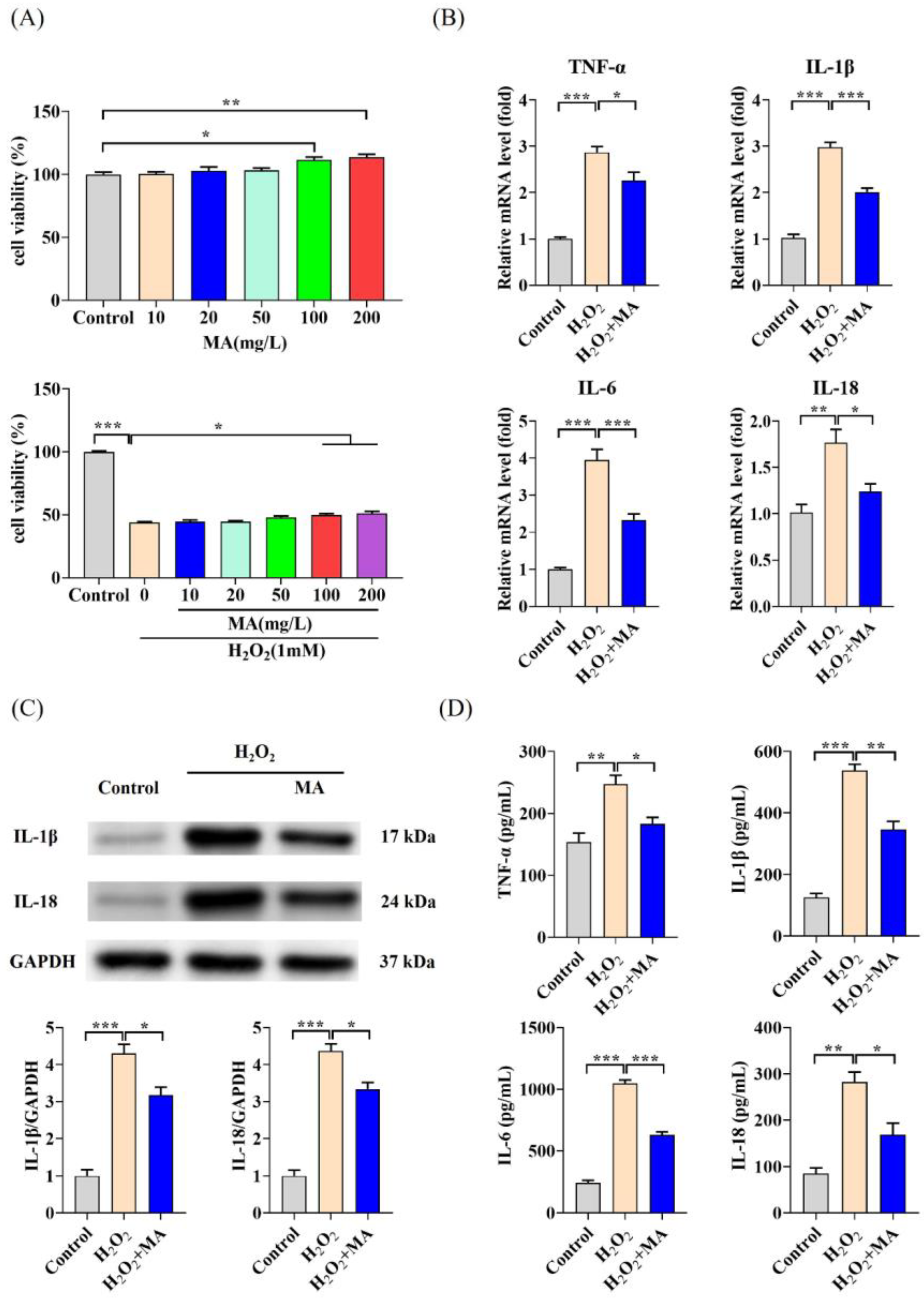 Microbe-Derived Antioxidants Protect IPEC-1 Cells from H2O2