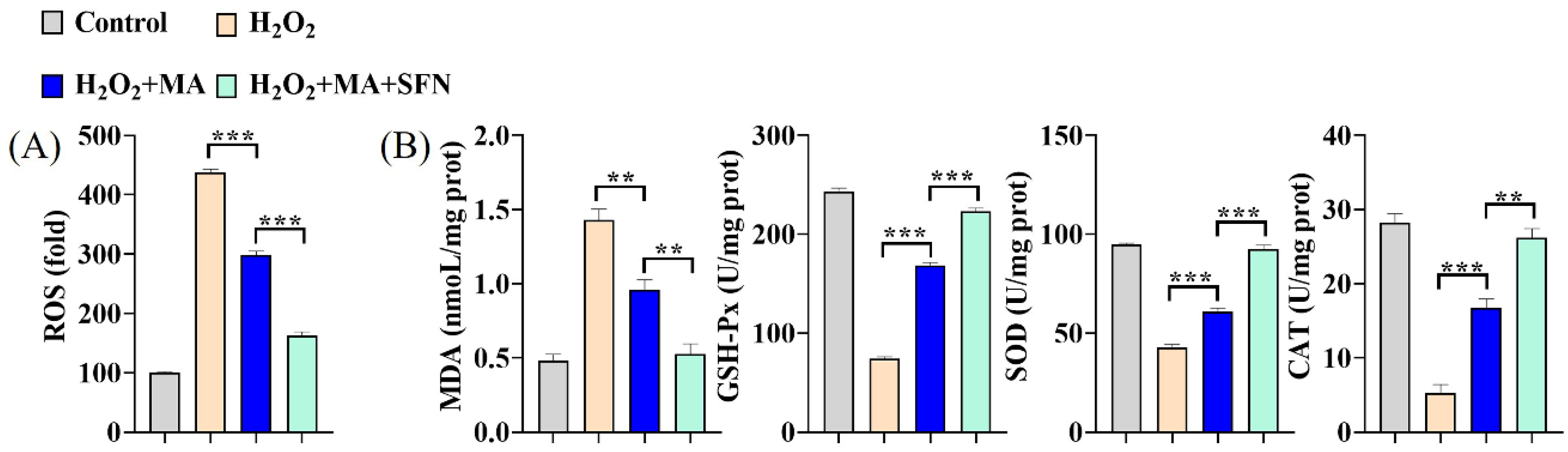 Antioxidants 13 00533 g004