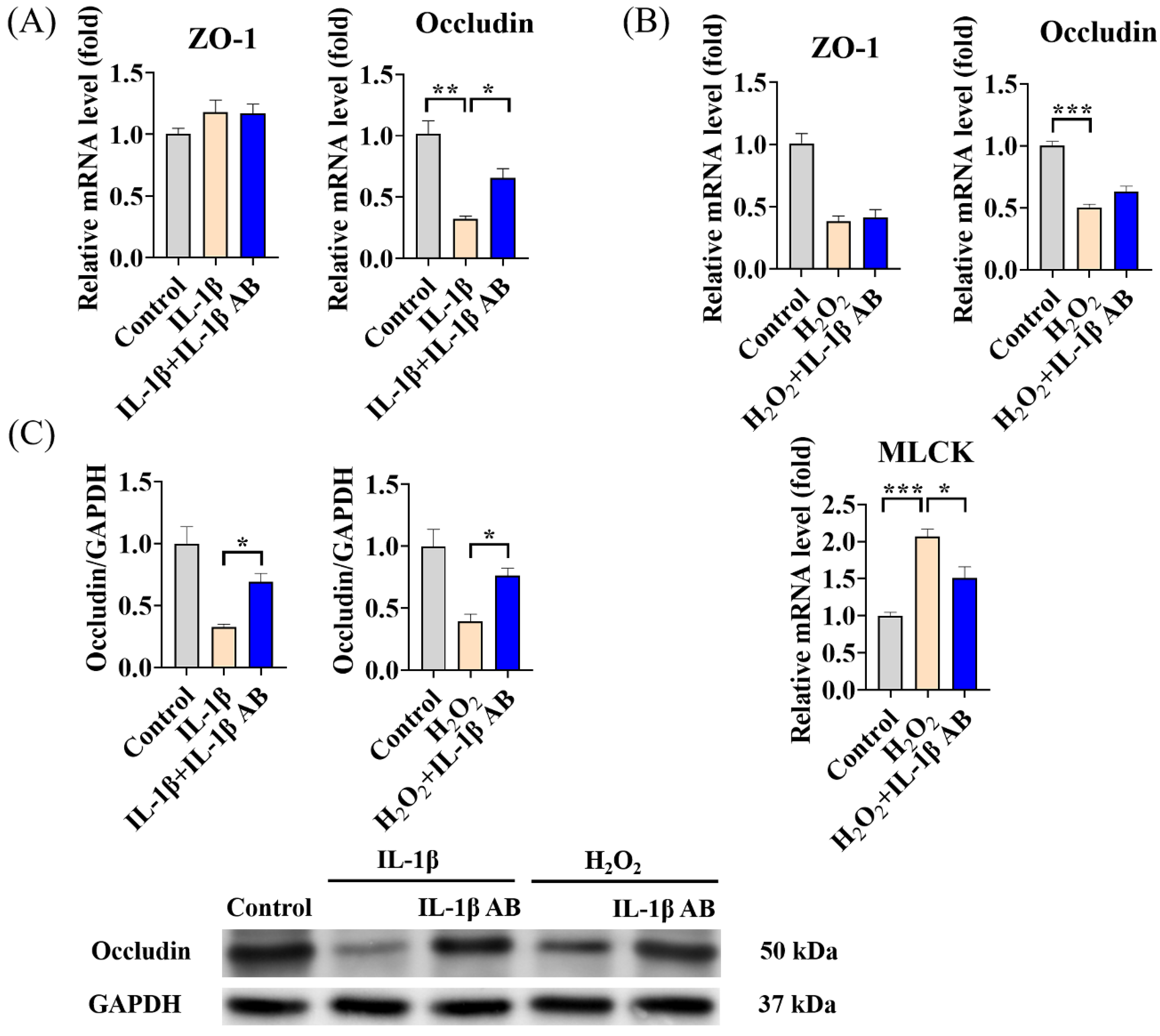Antioxidants 13 00533 g008