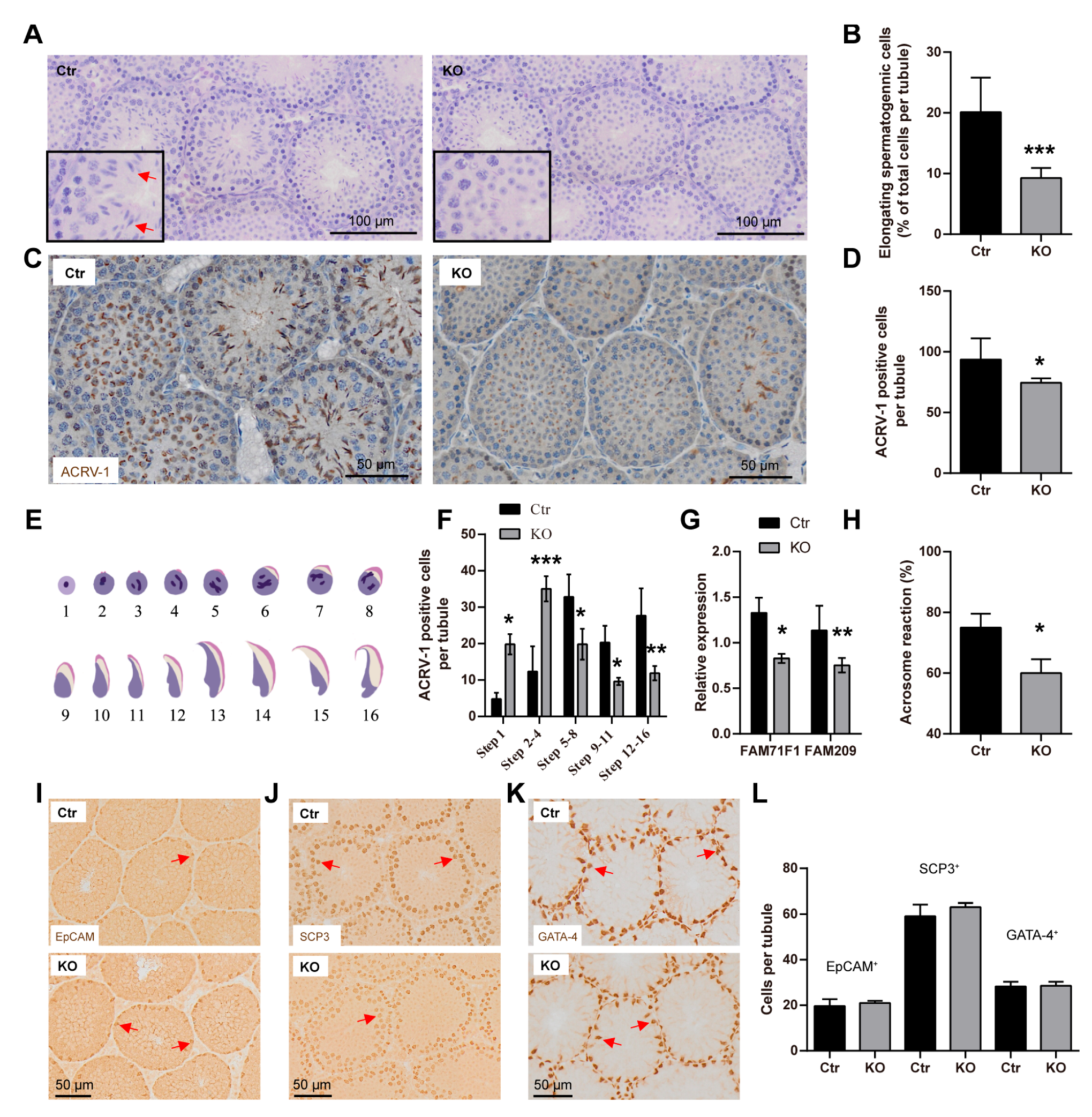 Antioxidants 13 00534 g006