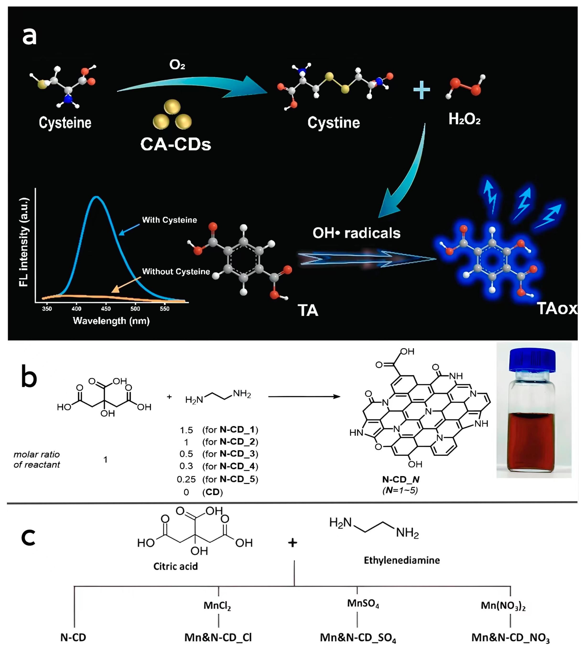 Antioxidants 13 00535 g002