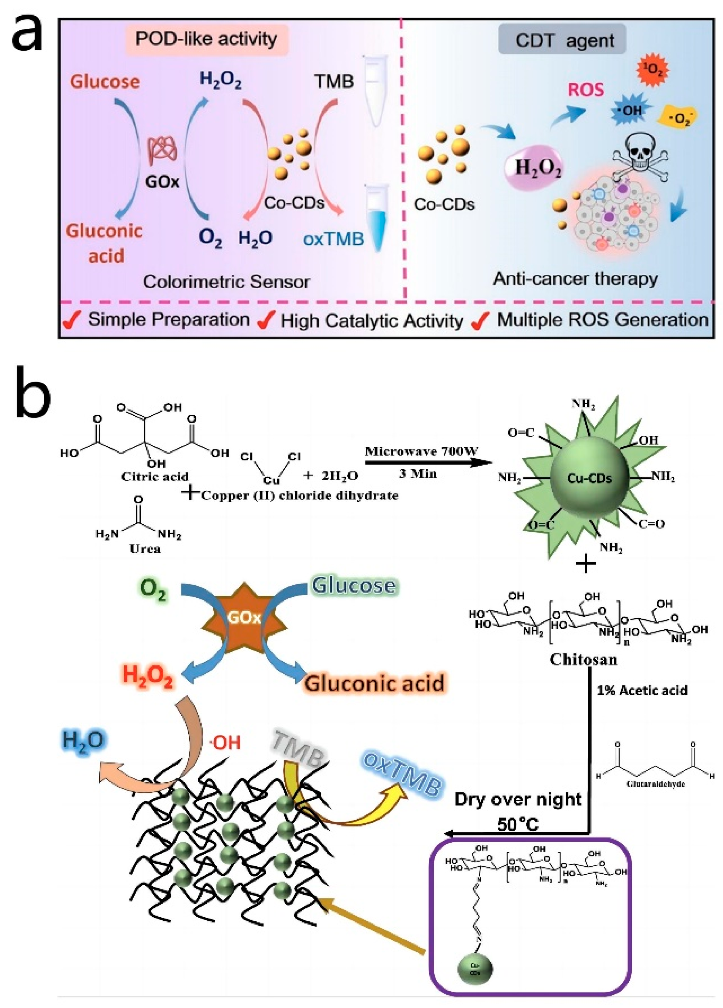 Antioxidants 13 00535 g006