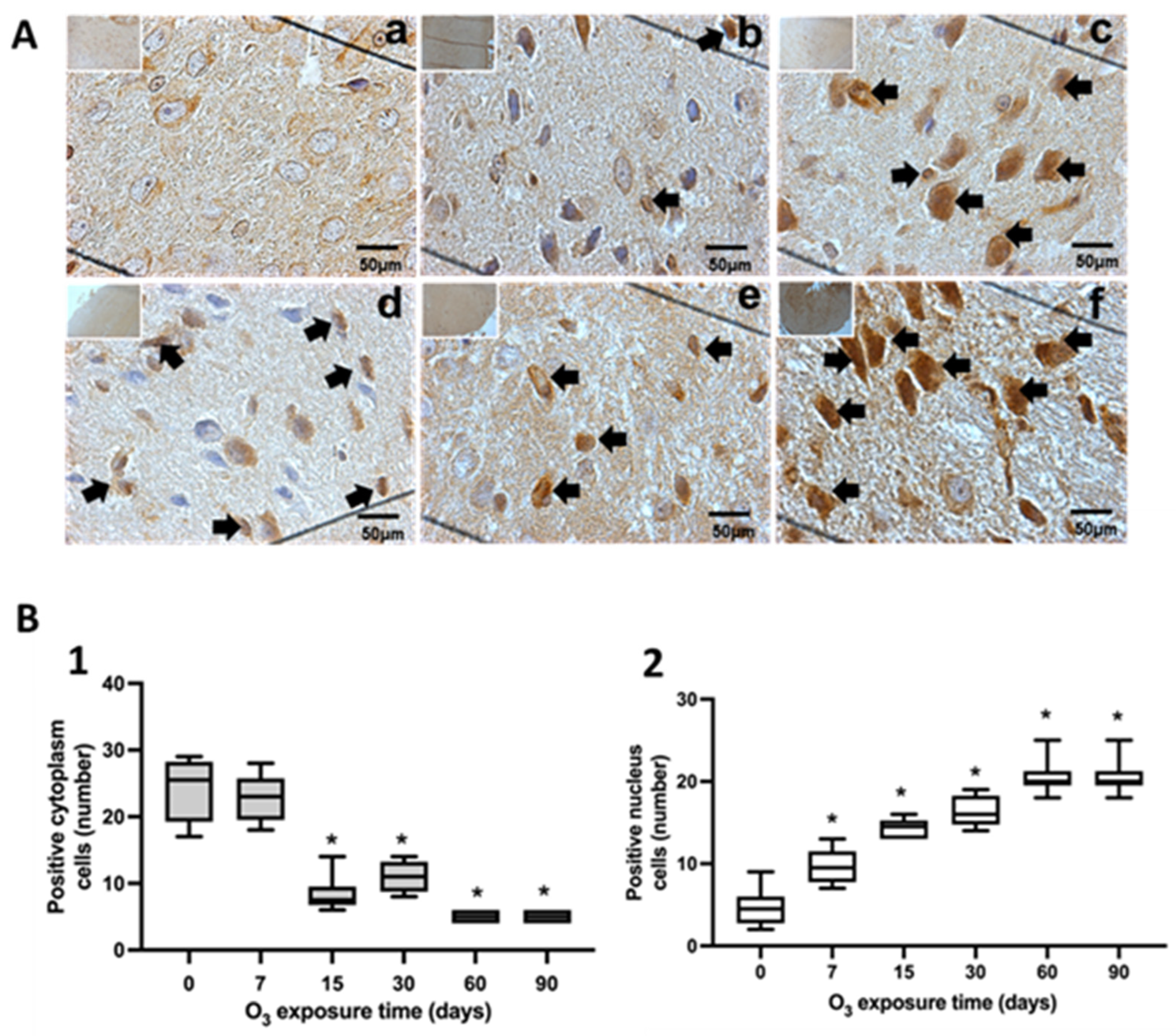 Antioxidants 13 00536 g001
