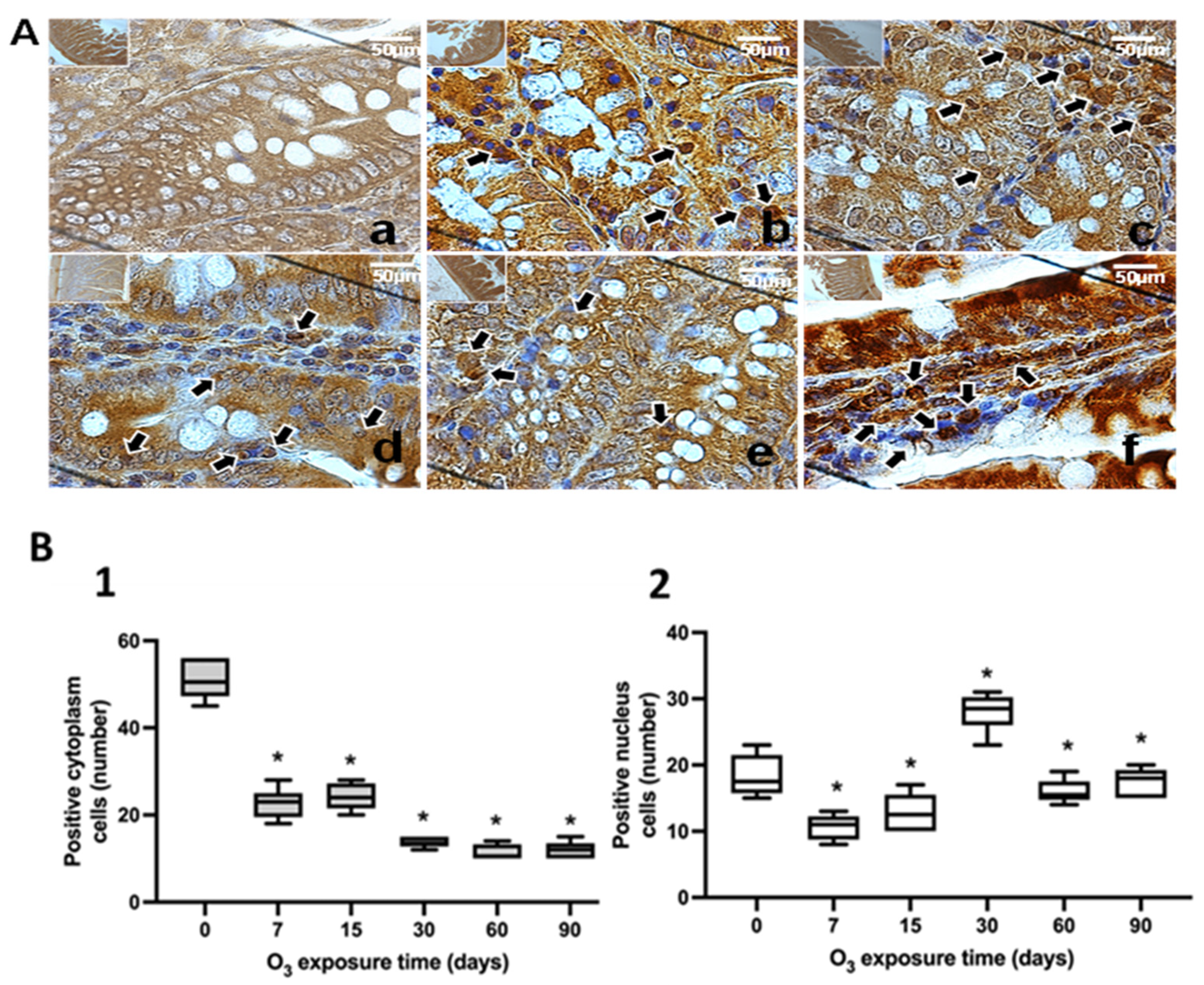 Antioxidants 13 00536 g002