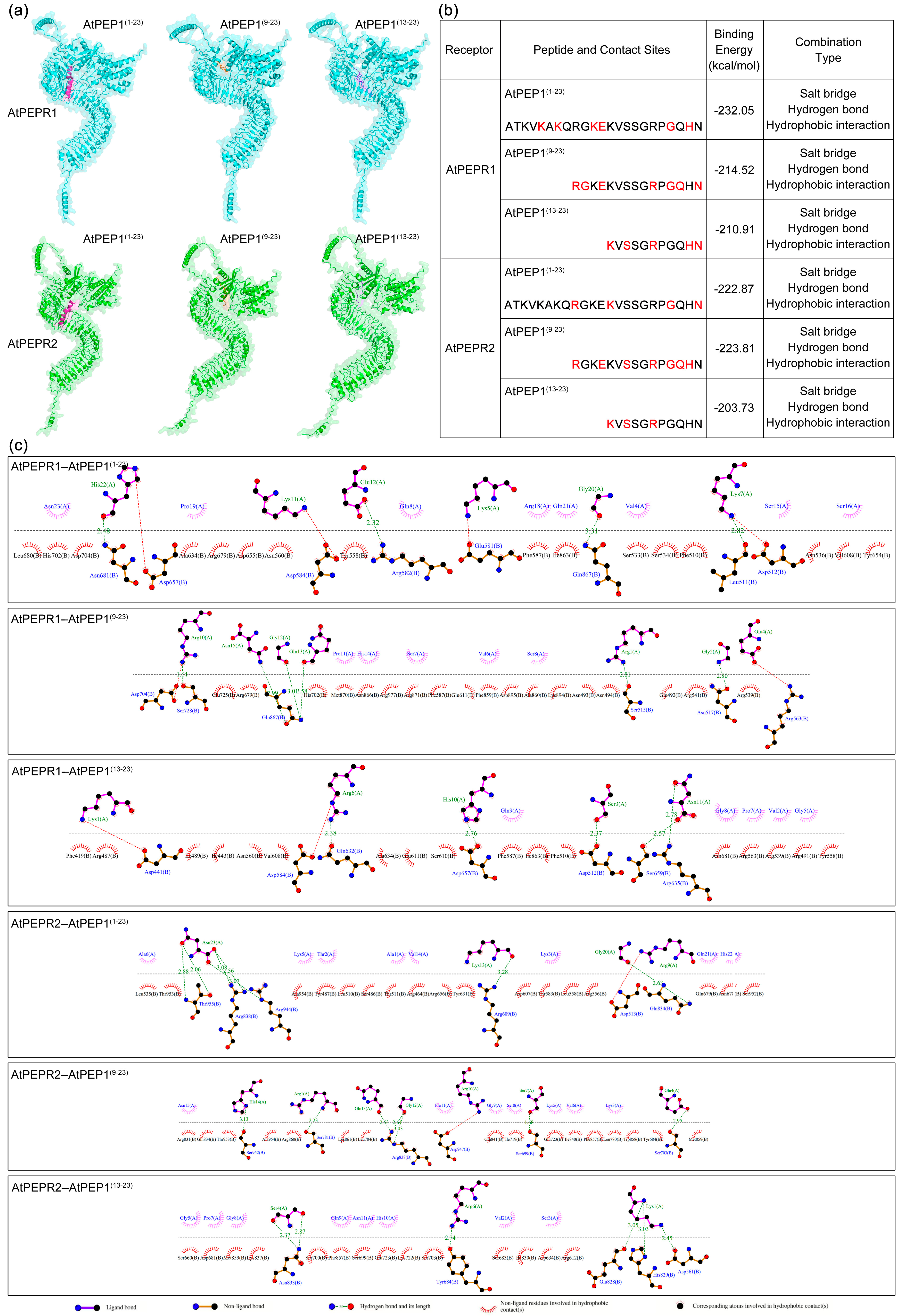 Antioxidants 13 00549 g008