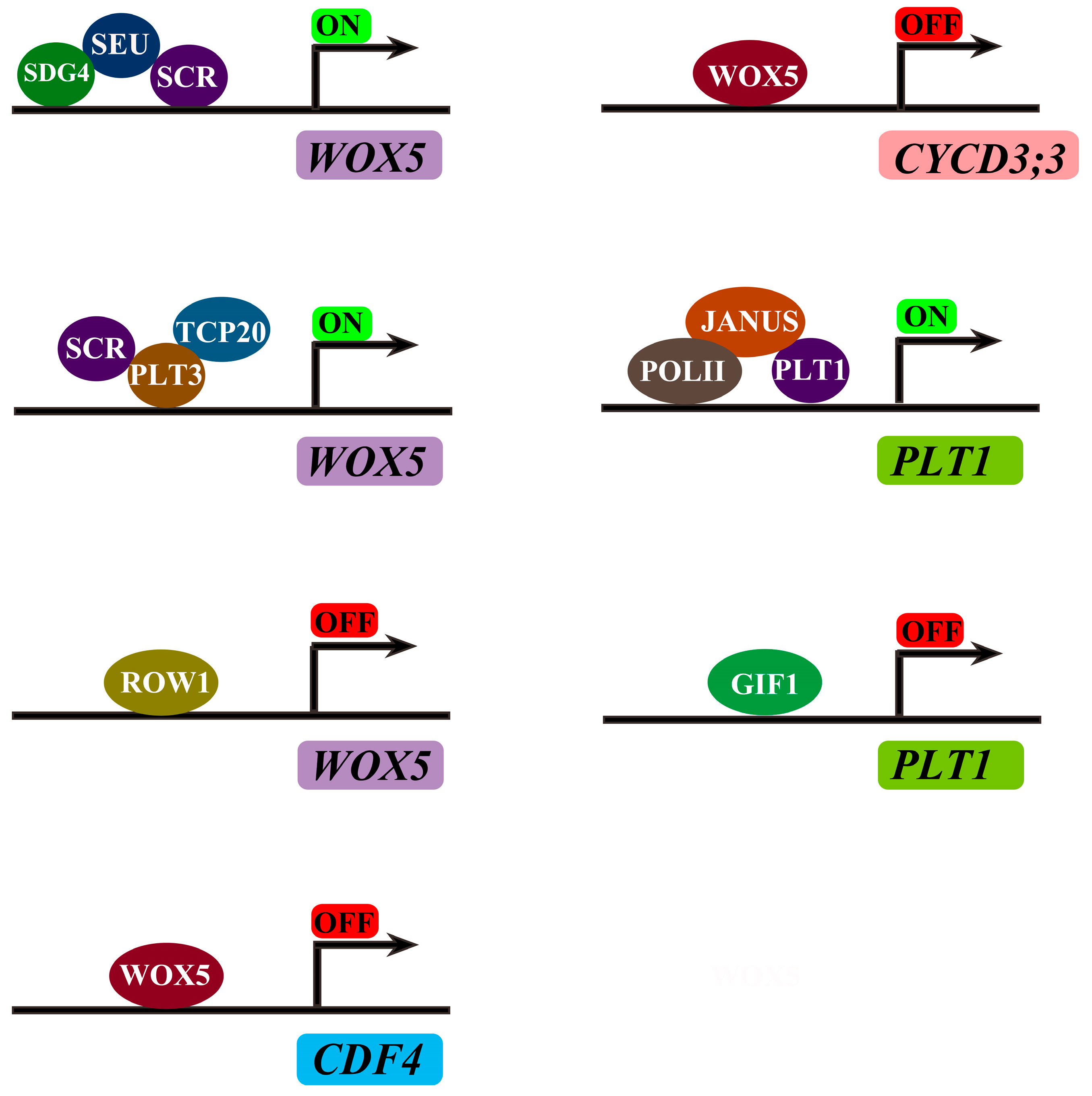 Antioxidants 13 00554 g002