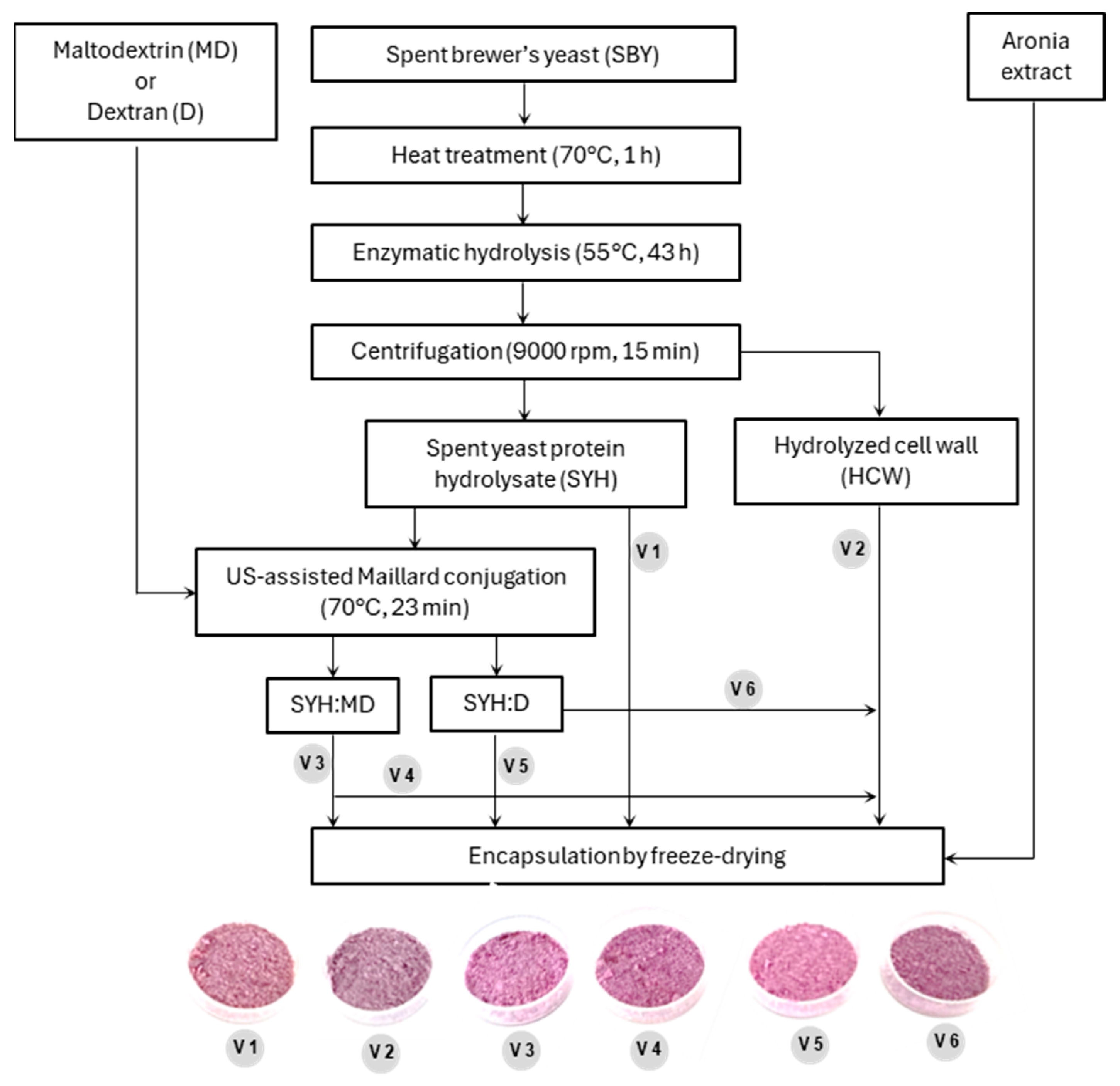 Antioxidants 13 00570 g001