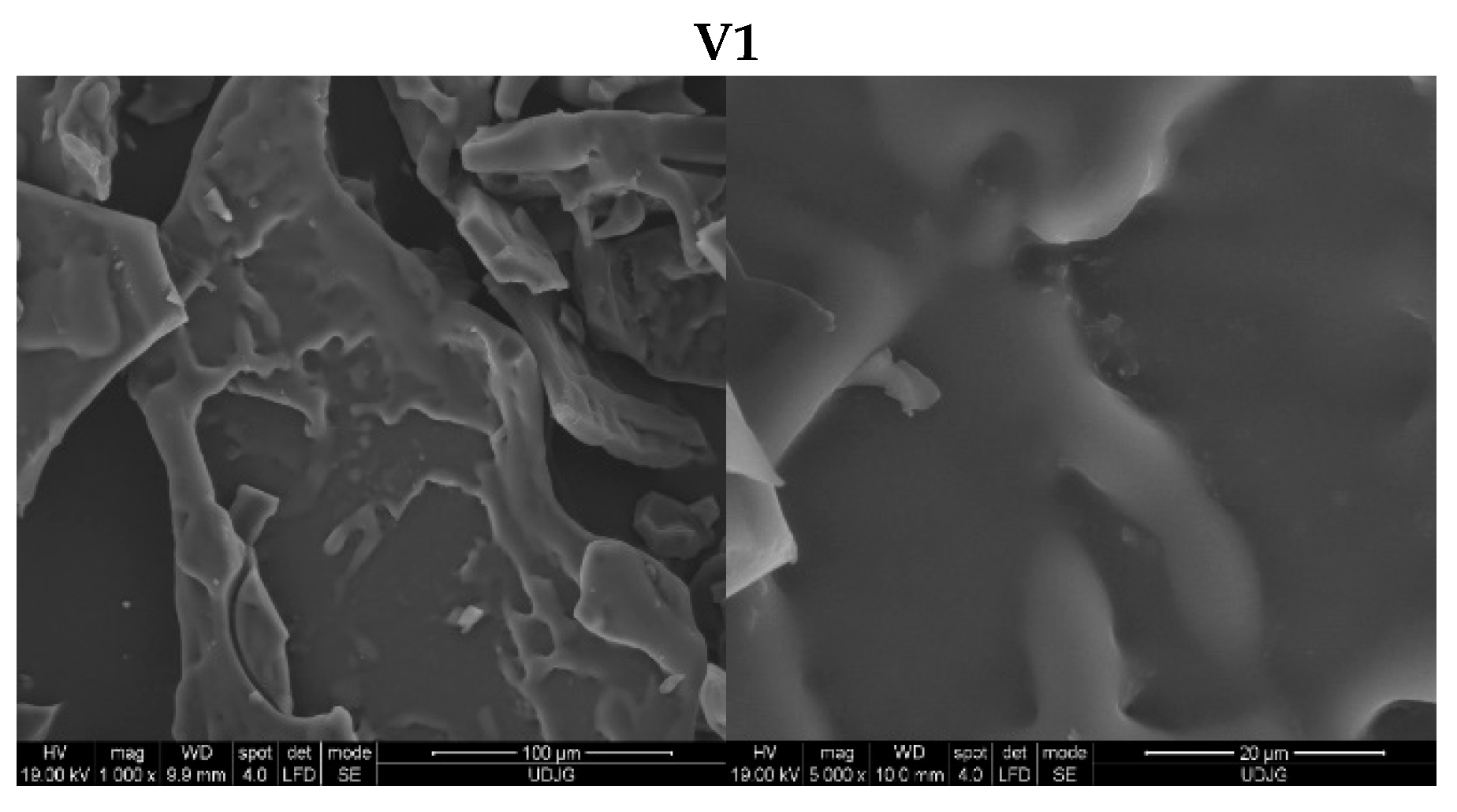 Antioxidants 13 00570 g006a