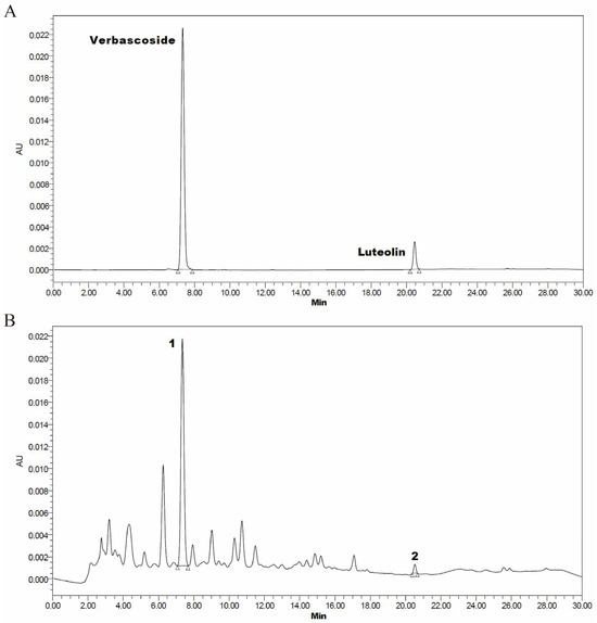 Effects of Dietary Callicarpa nudiflora Aqueous Extract