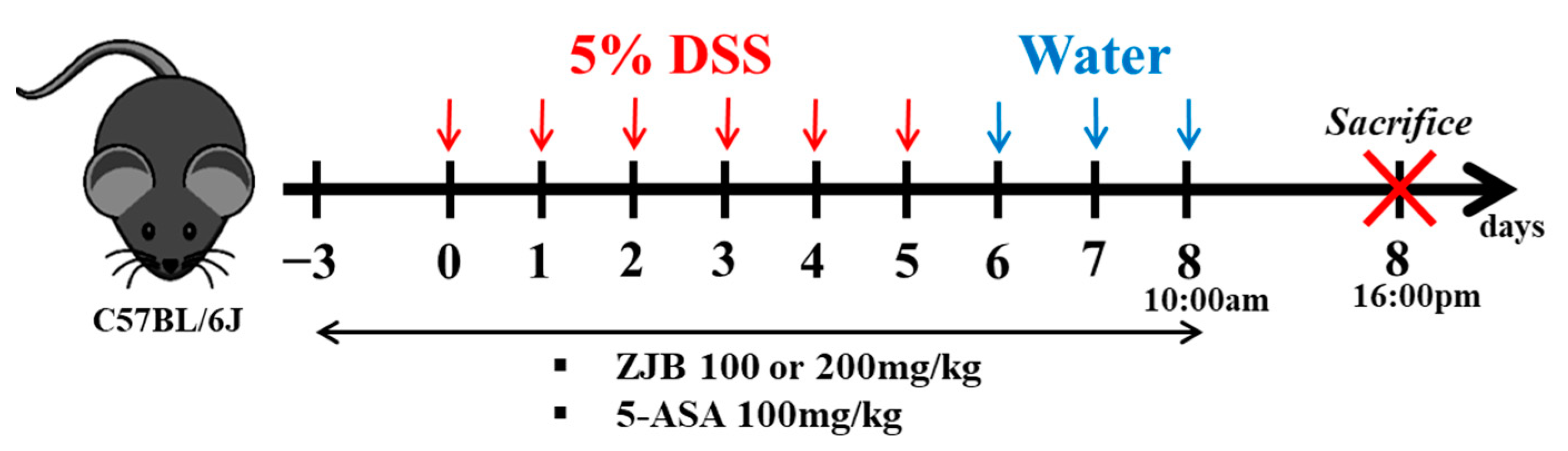 Antioxidants 13 00575 g001