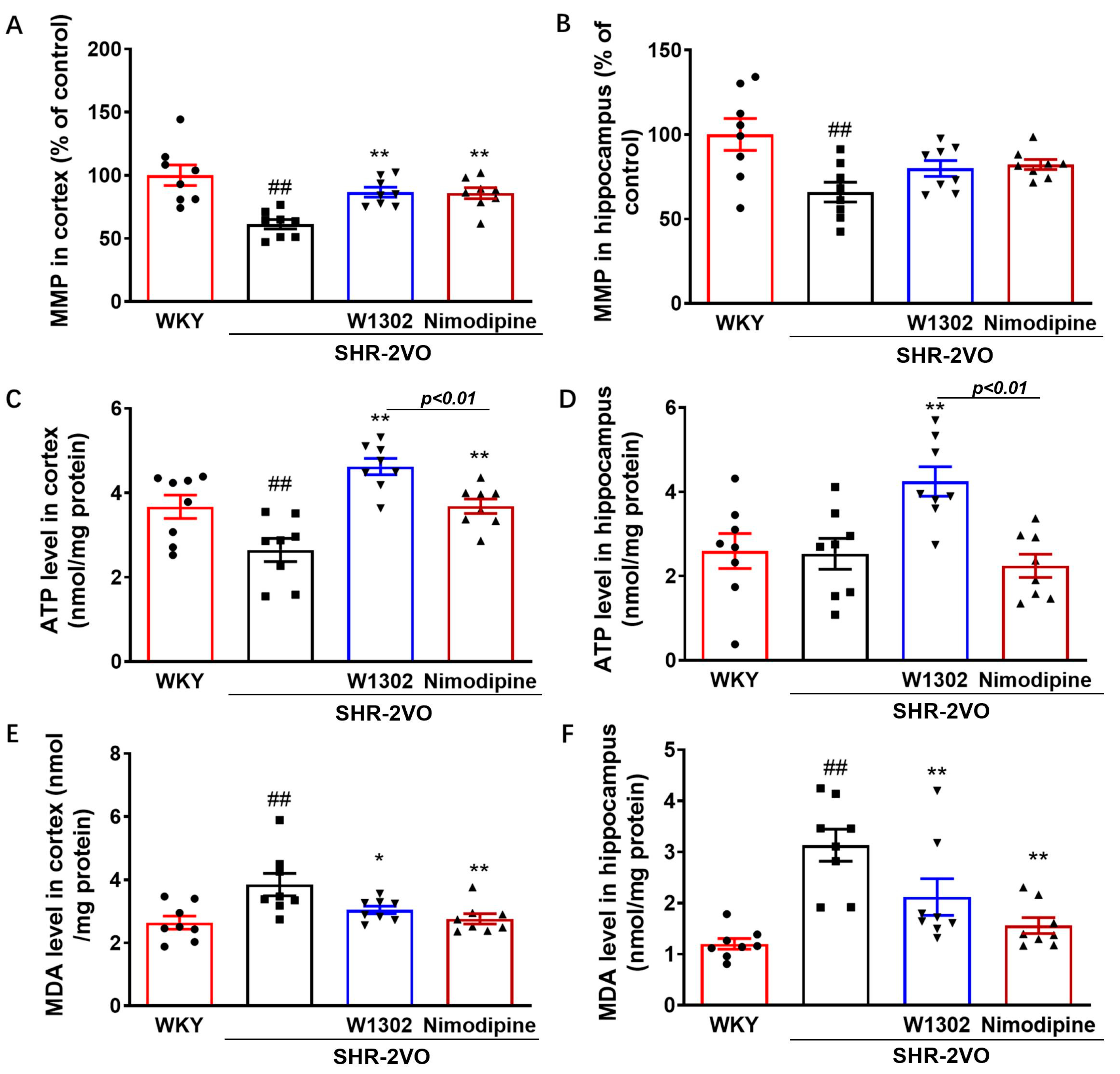 Antioxidants 13 00585 g002 Antioxidants 13 00585 g002
